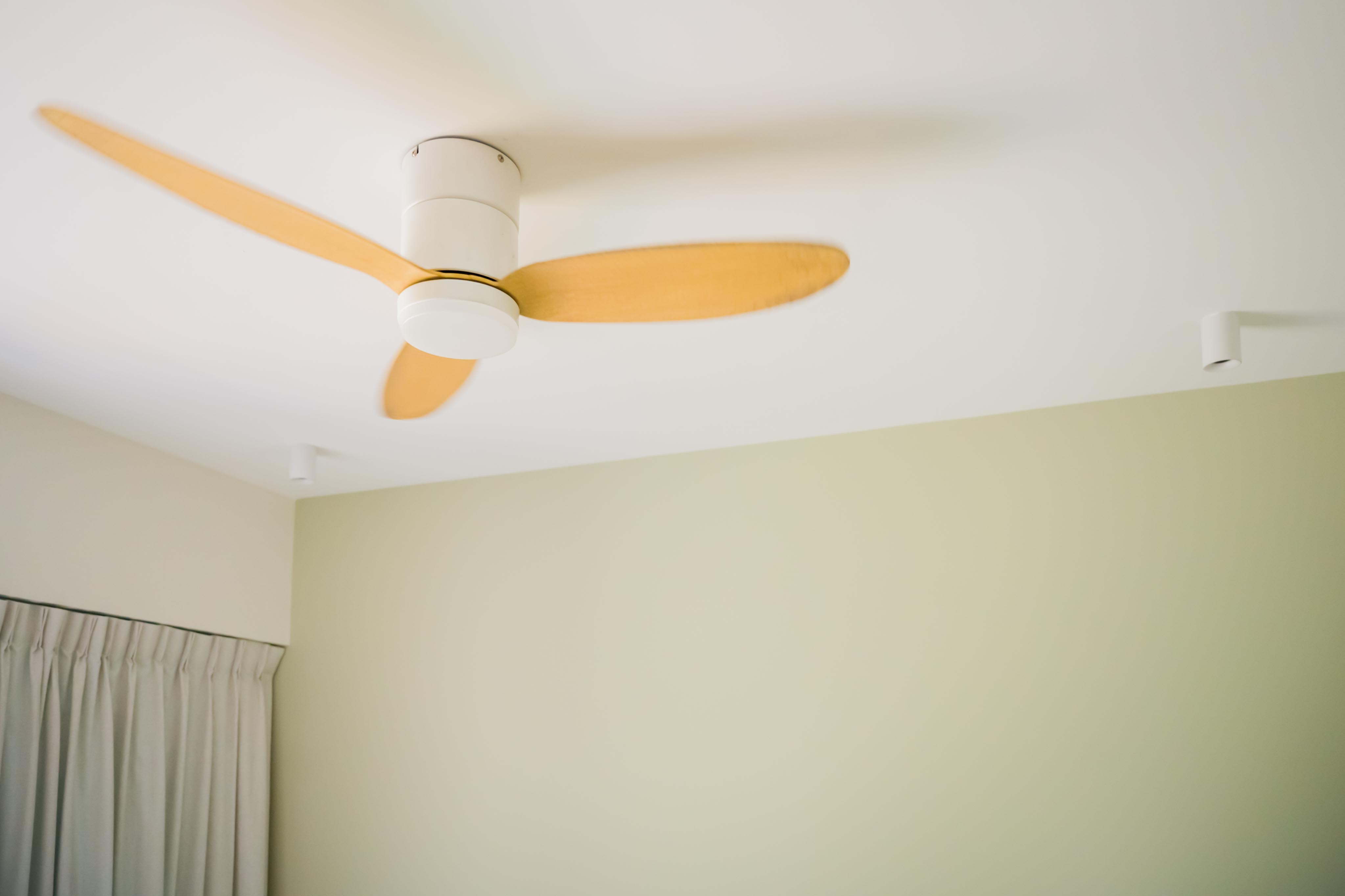 Minimal and clutter free living room - Ceiling fan, ceiling, light fixture, ceiling fan blades, ceiling fan blades in motion