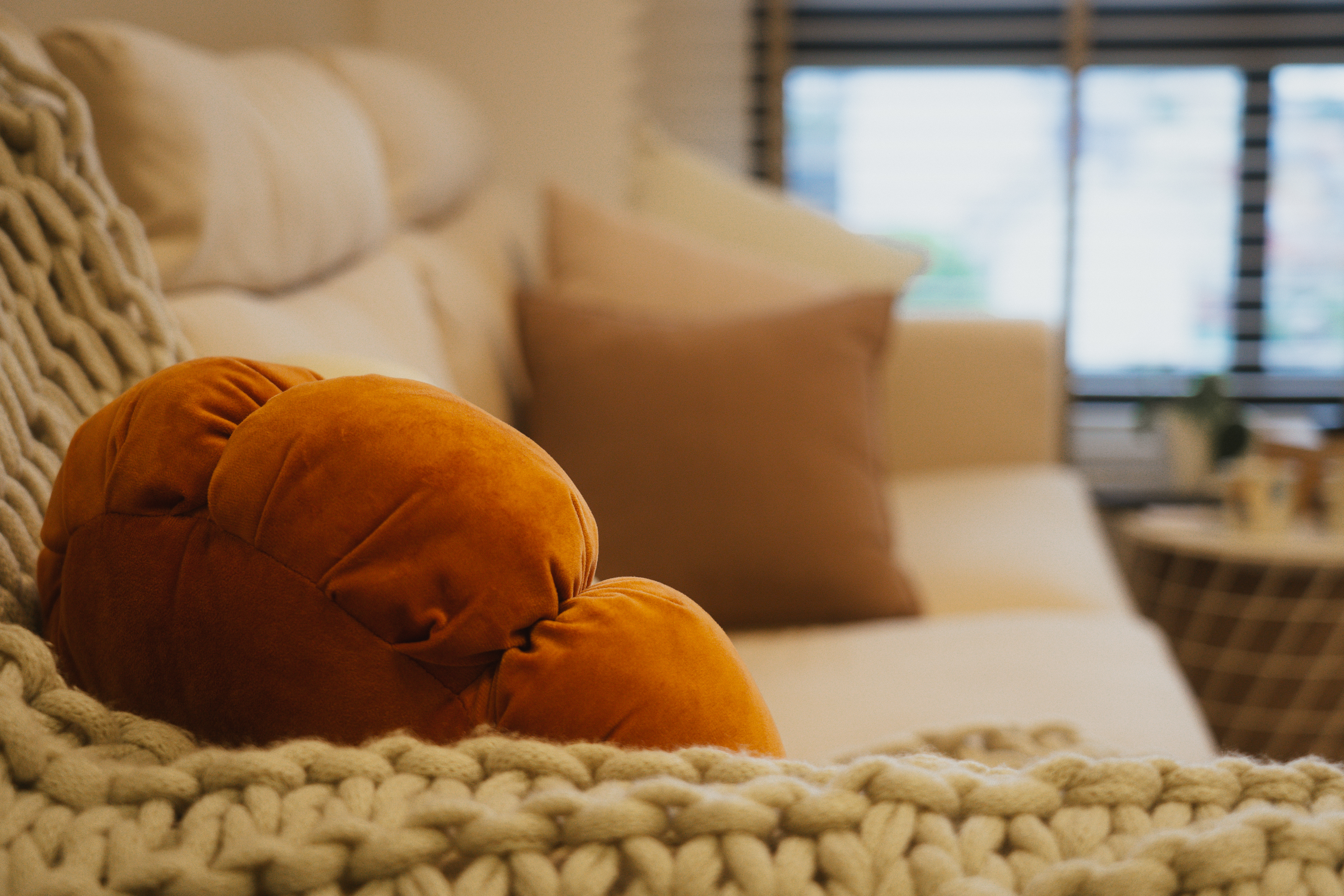 Living Rooms: Where Netflix & Naps Collide Daily