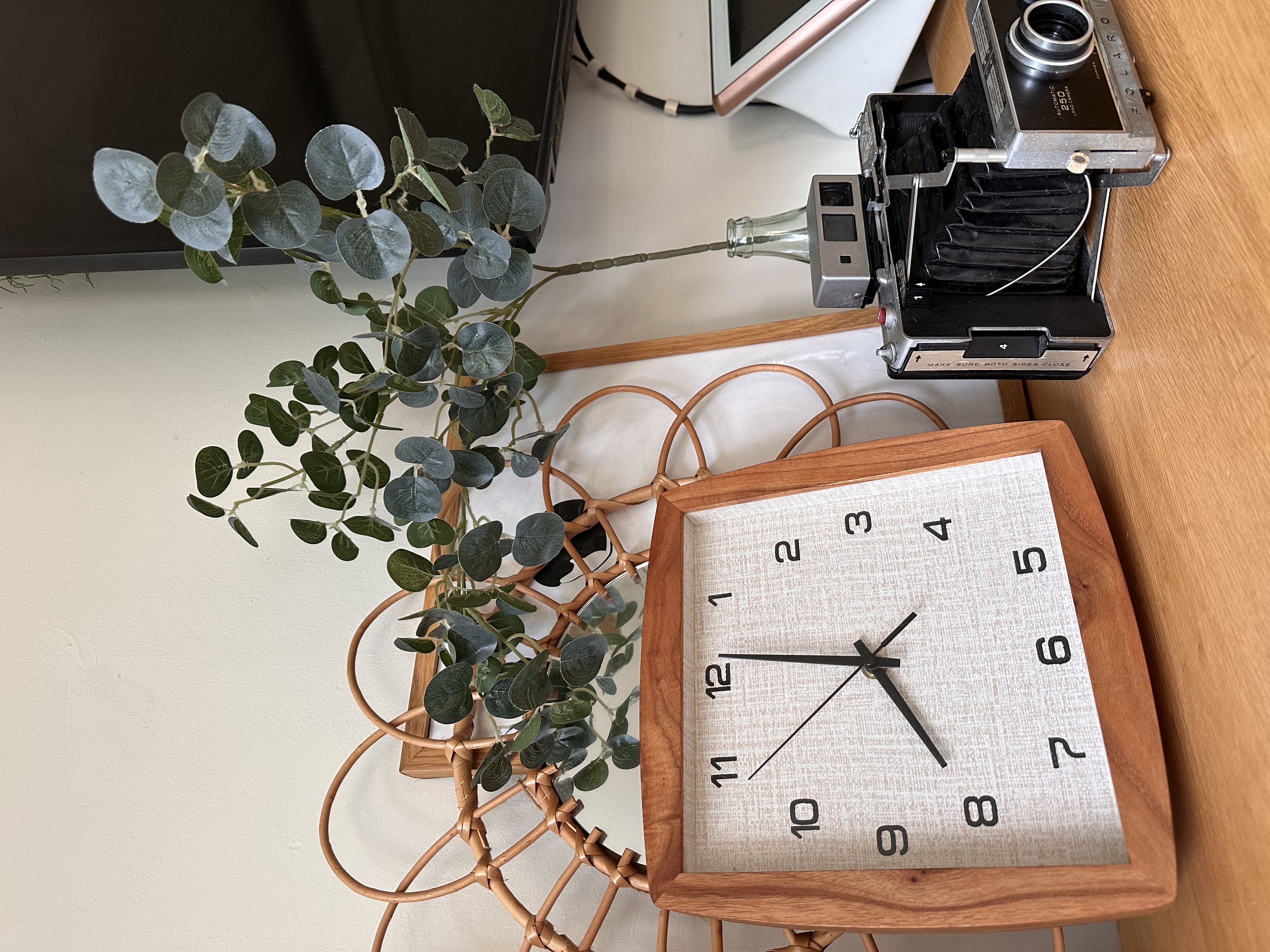 Styling a dog, baby, plant babies friendly living room - vibrant green ivy plant, modern wall art, vintage camera, woven wall