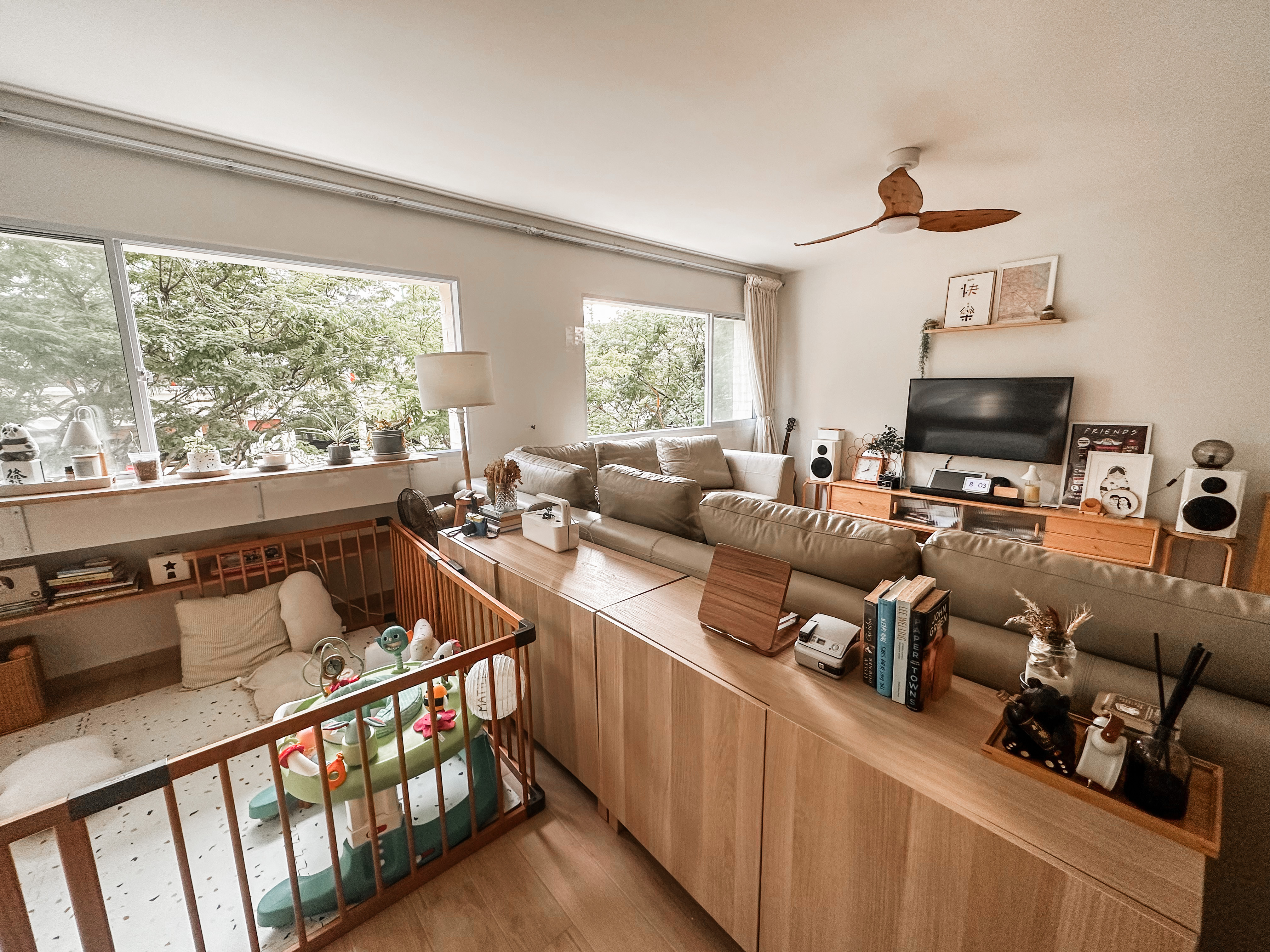 Styling a dog, baby, plant babies friendly living room