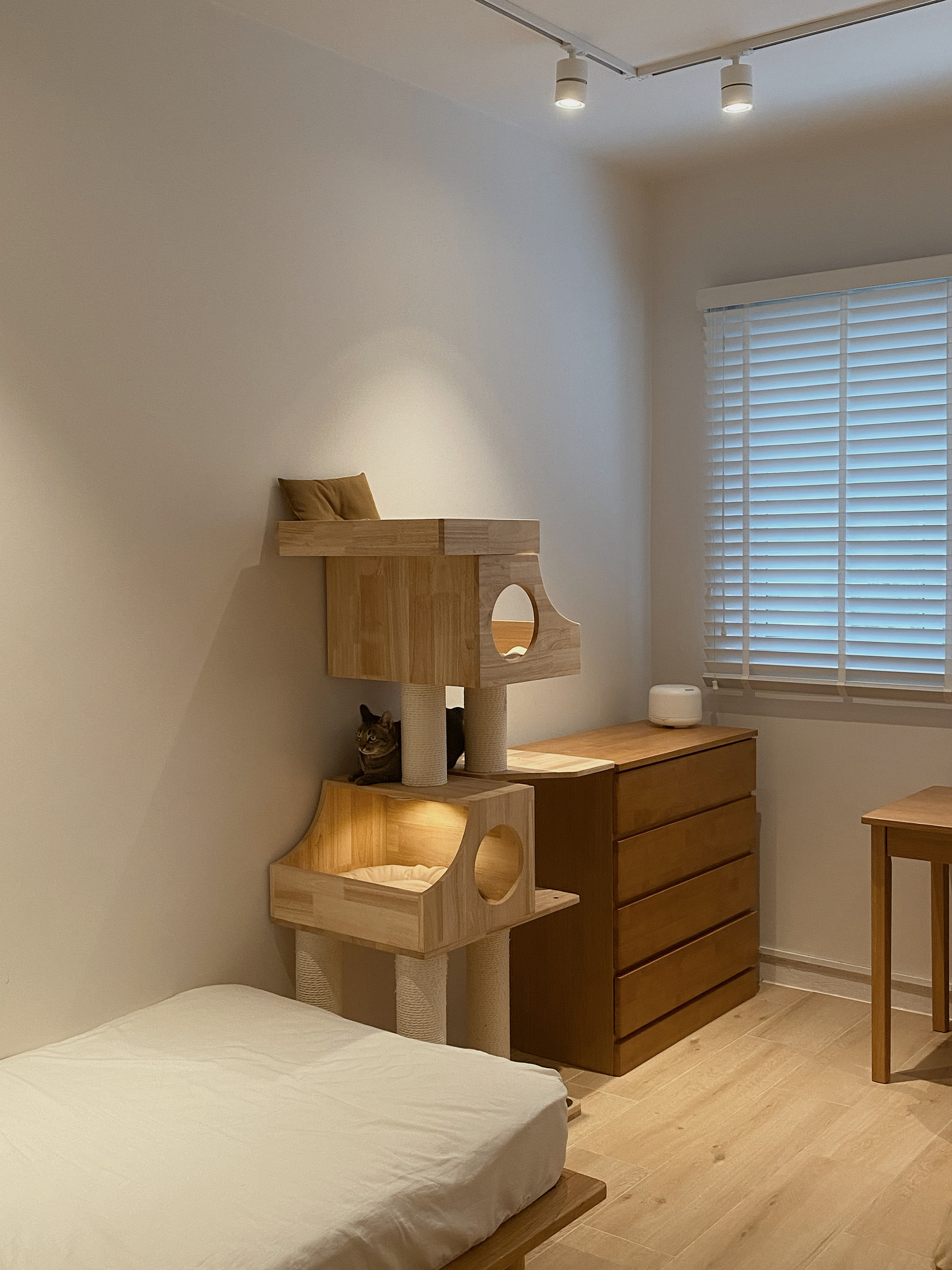 Reasons-to-get-an-Automated-Pet-Feeder-in-your-Cozy-Living-Space