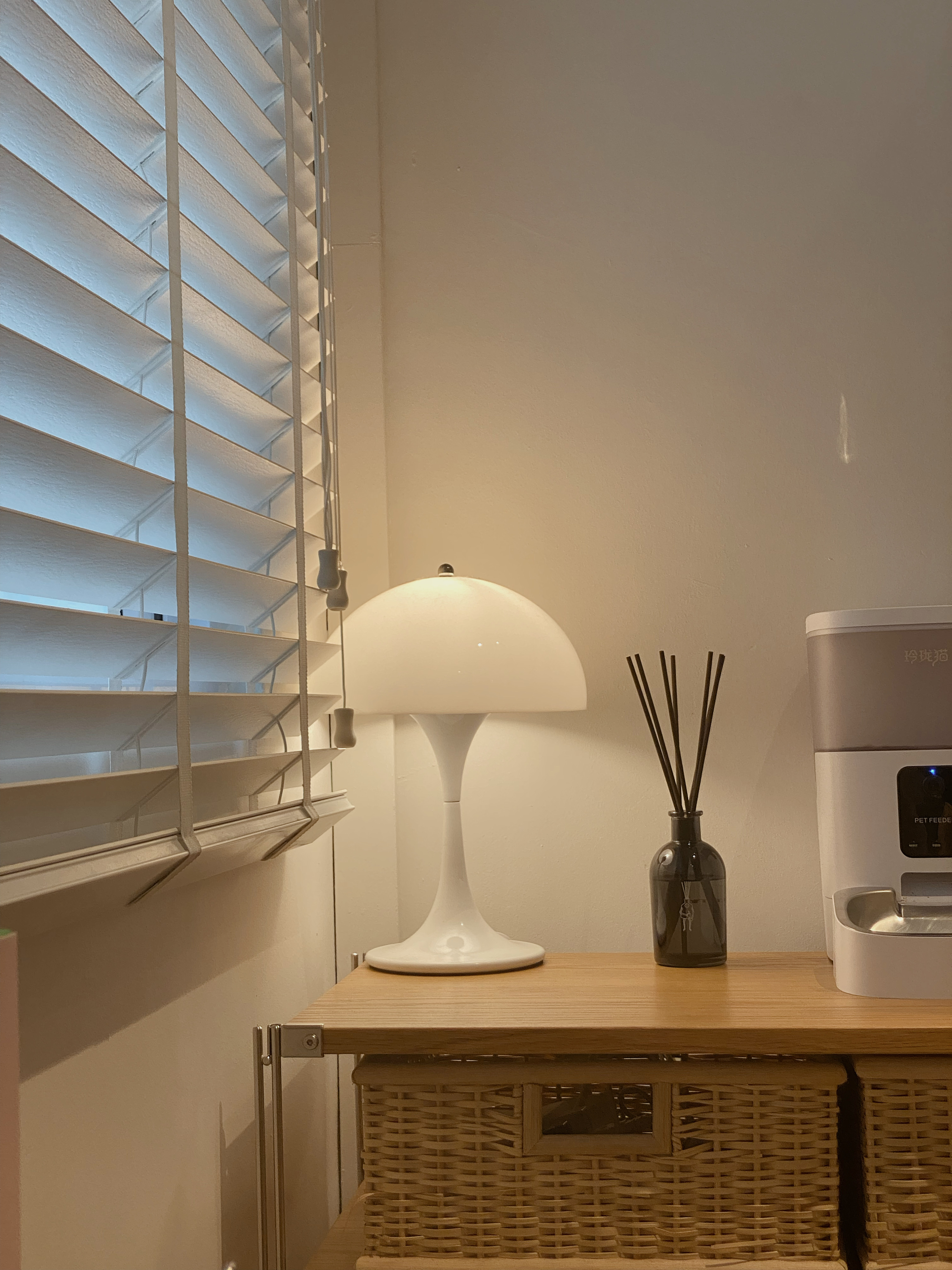 Reasons-to-get-an-Automated-Pet-Feeder-in-your-Cozy-Living-Space