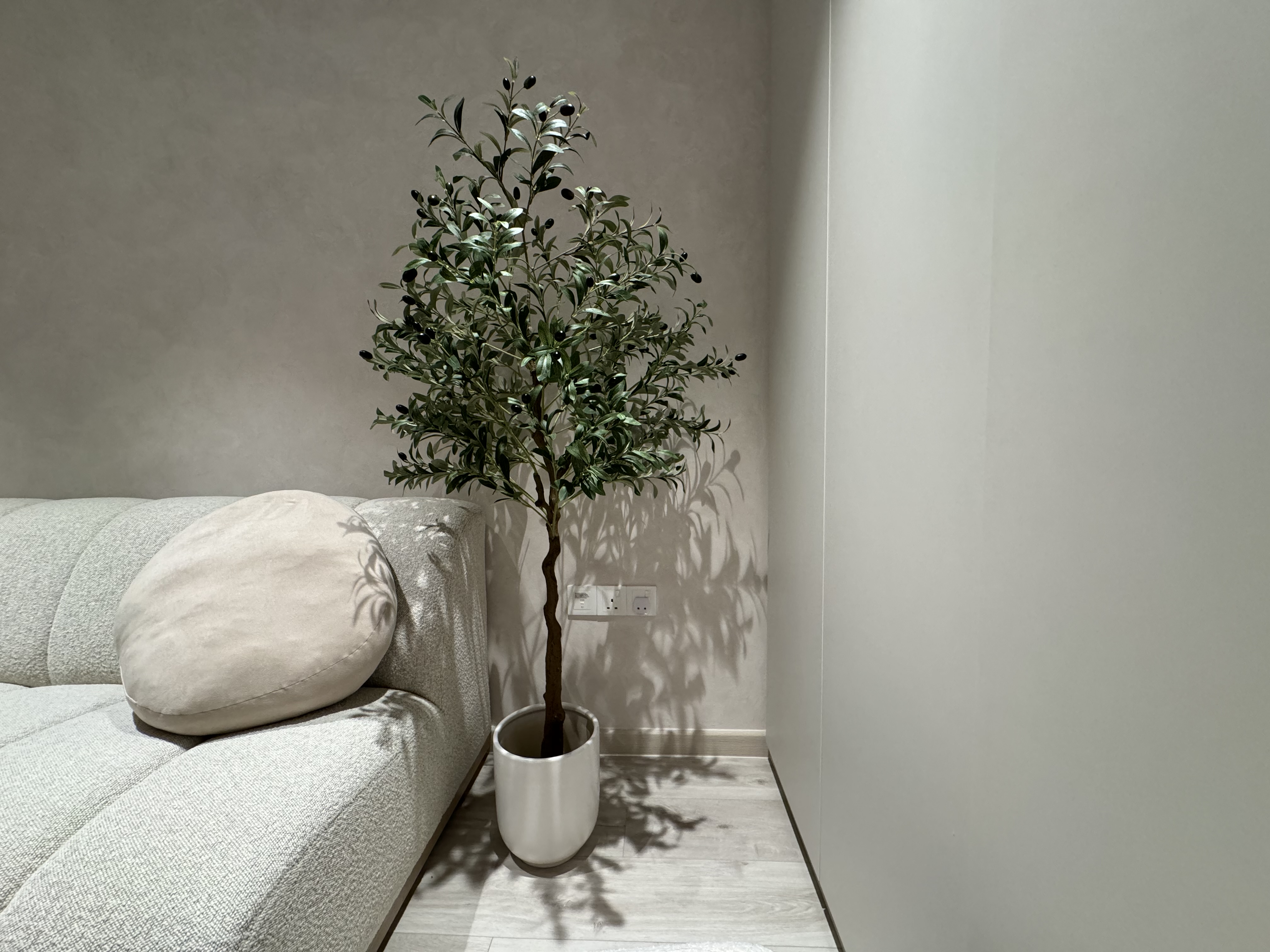 Love (our living room’s) curves & all (it’s) edges ❤️ - Light gray sofa, minimalist decor, indoor plants, modern interior