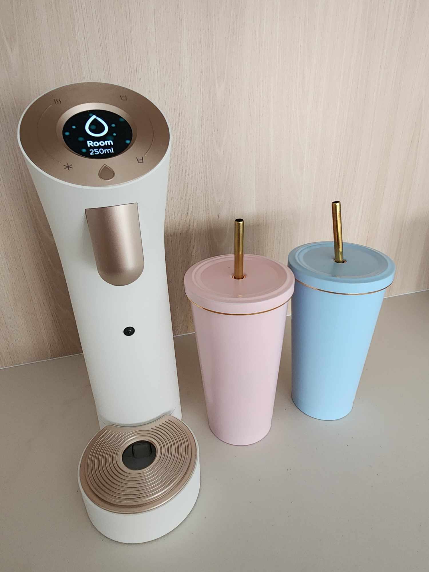 Our cozy dining space with a dry kitchen  - Water dispenser, digital display, 250ml capacity, sleek design, metallic accents