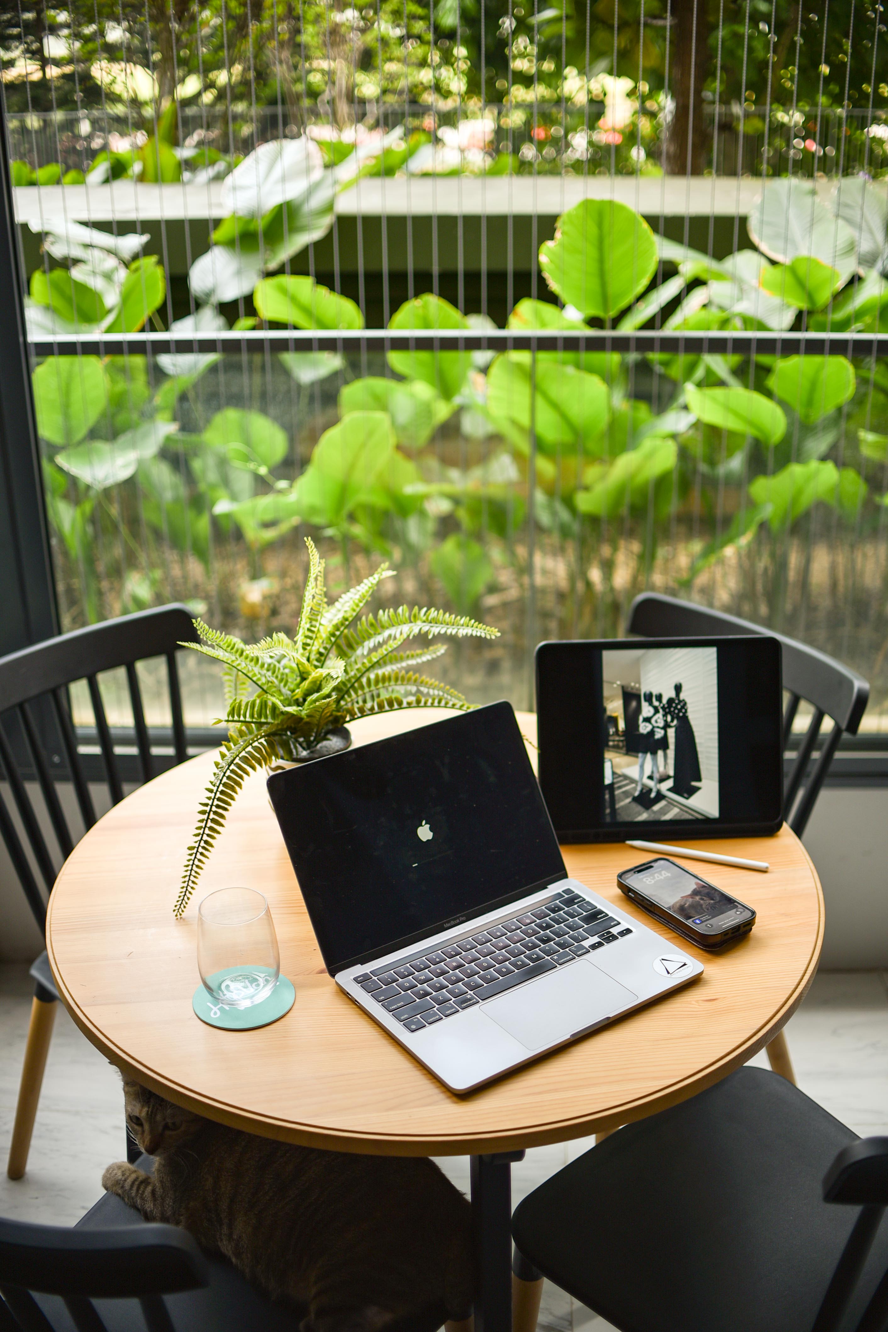 Work space by day, Dinner dates by night! - Laptop, tablet, smartphone, cat, green plants, indoor setting, round wooden