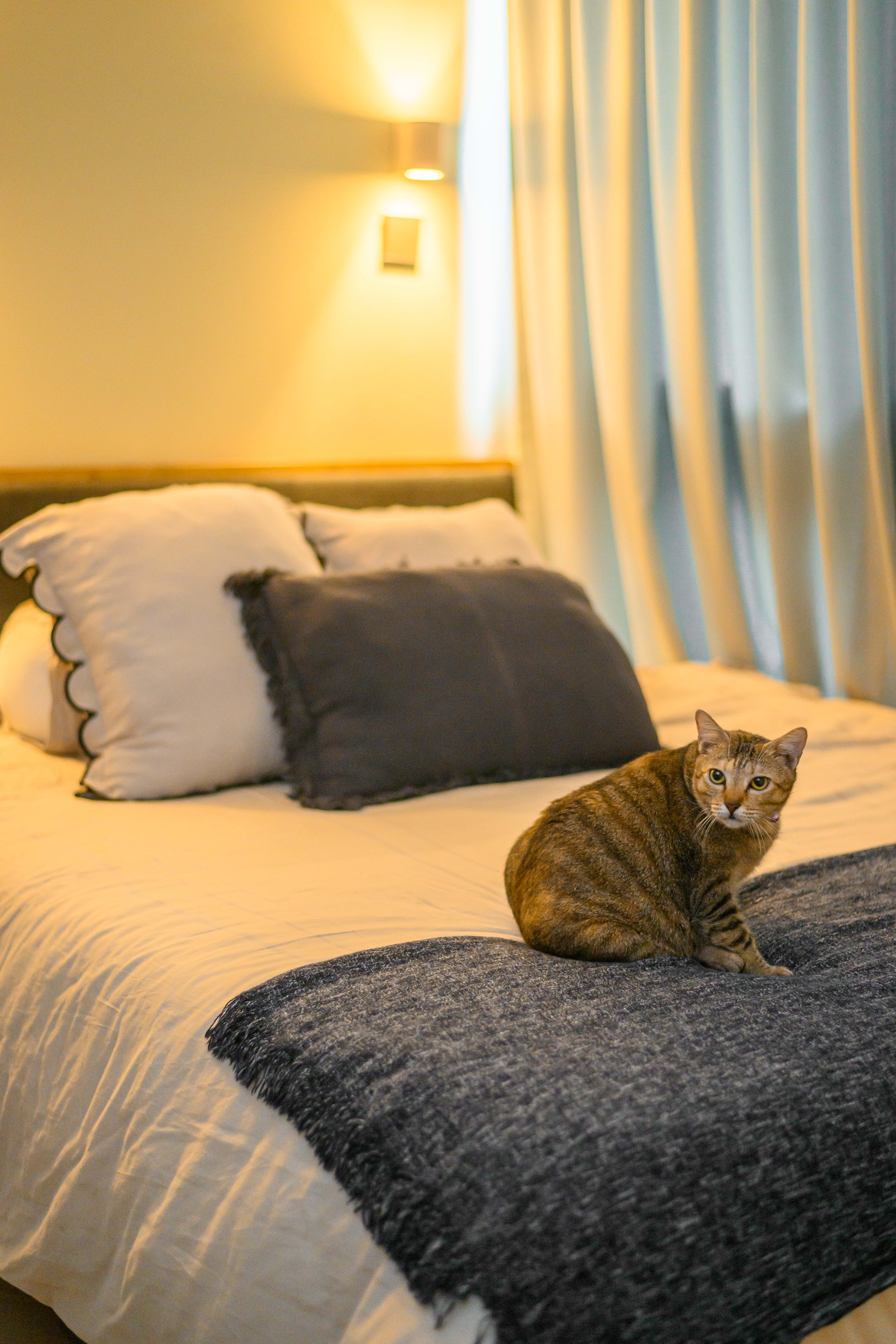 Restful-and-Snug-space-