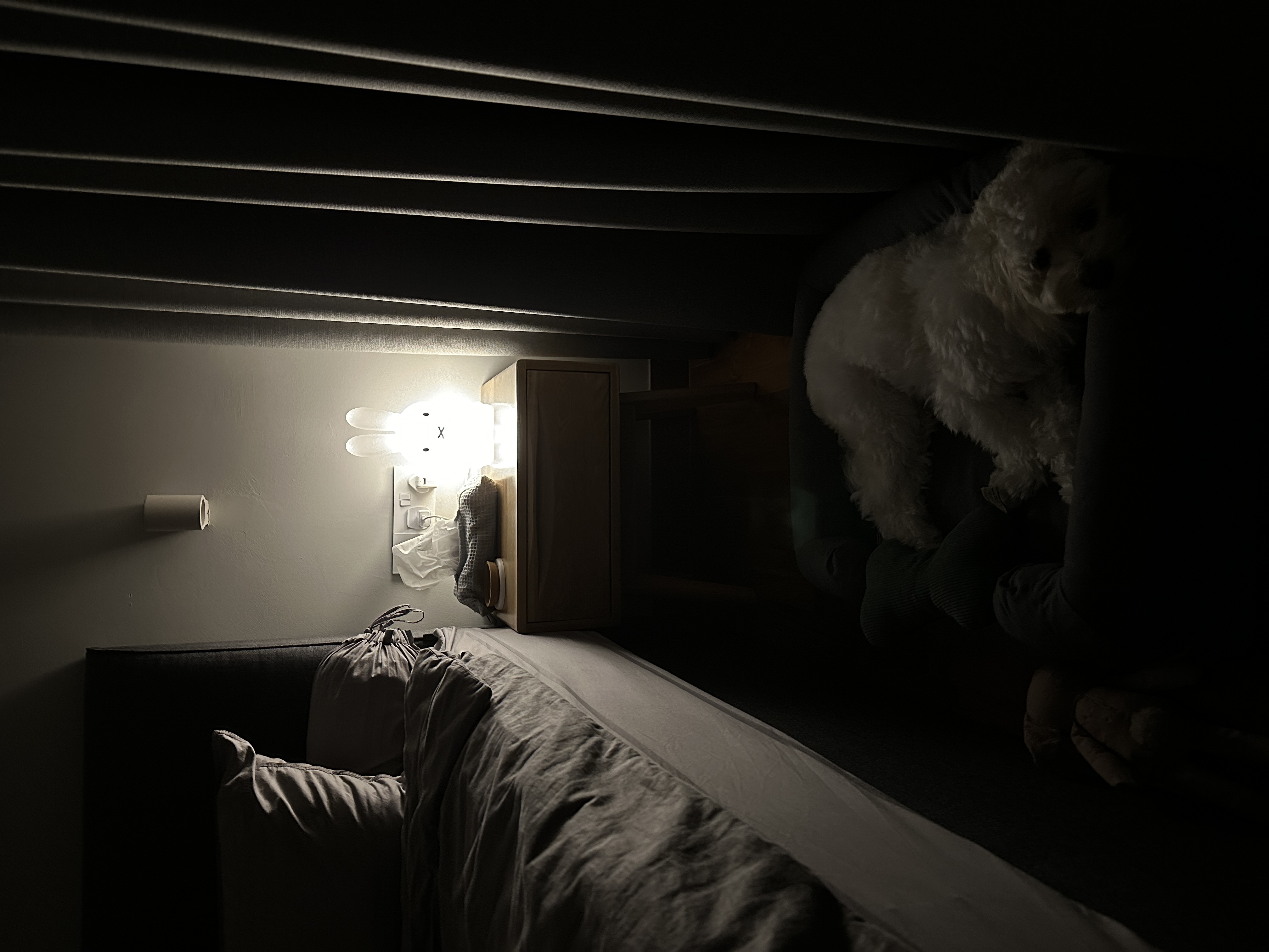 Our Simple and Functional Bedroom  - dimly lit bedroom, fluffy white dog, cozy bed, wooden wardrobe, soft bedding