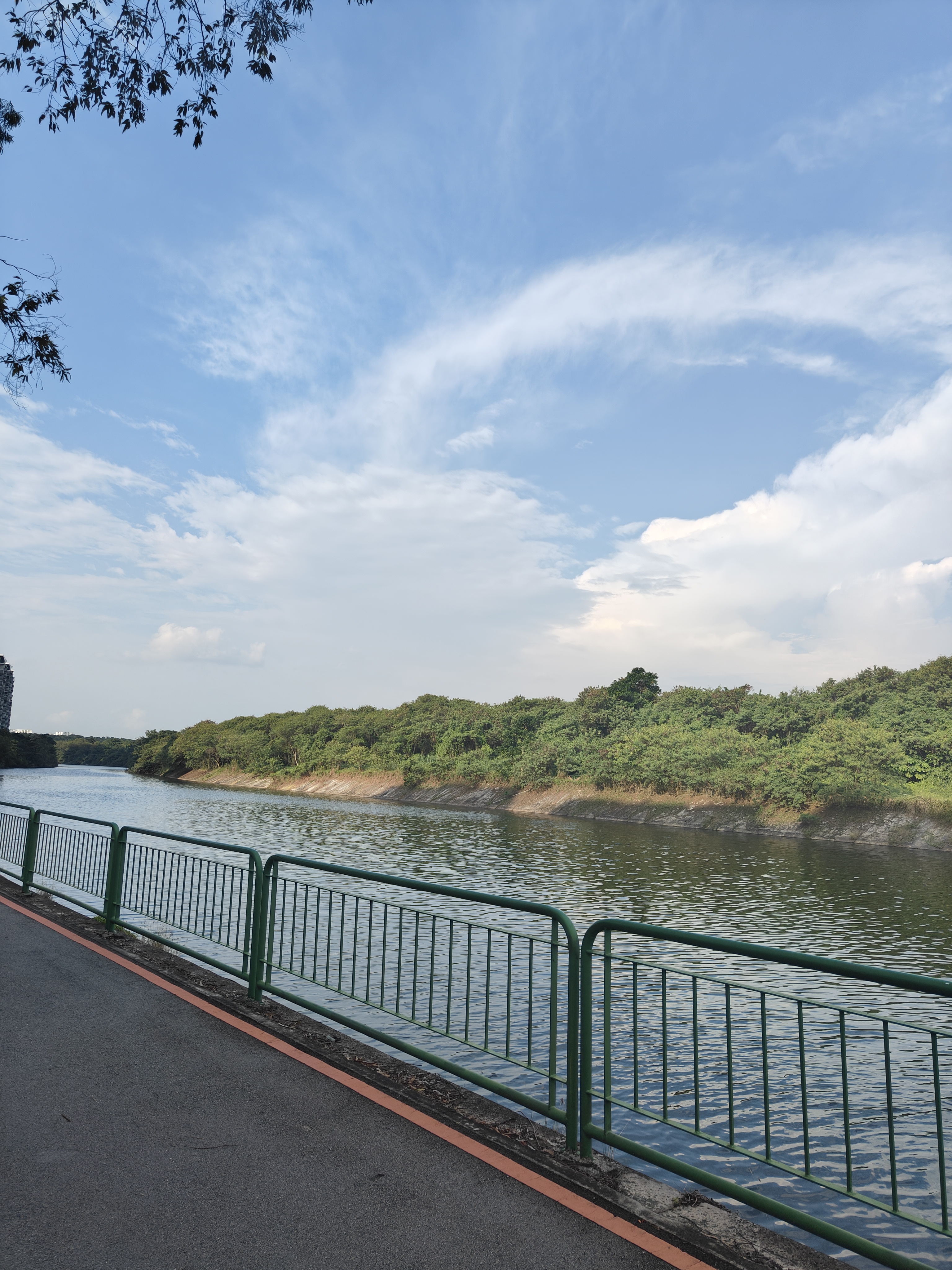 No Gardenspace for us! - riverside, green railing, tranquil river, lush trees, clear sky, blue horizon, calm water, natural