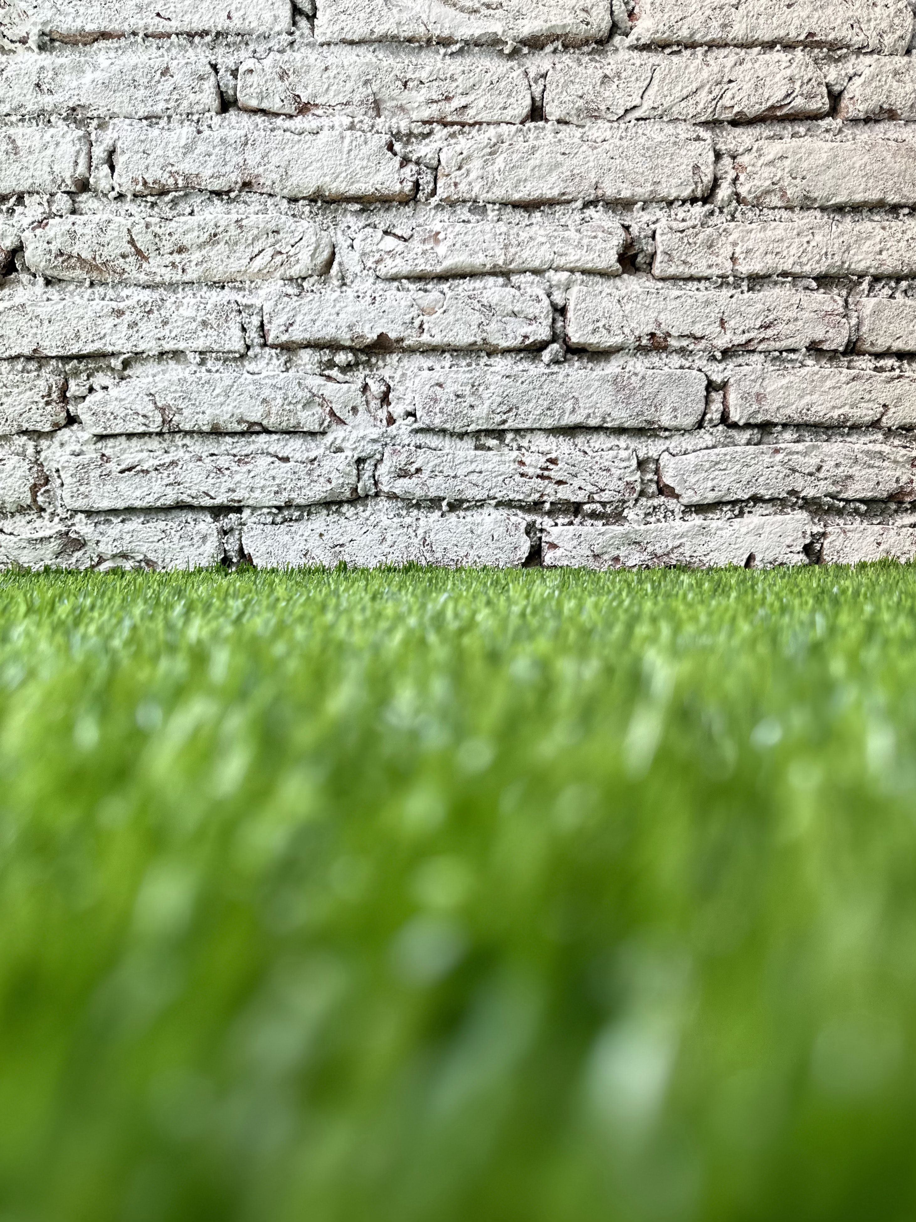 Verde Nook & Vertical Garden - Brick wall with weathered texture, Green grass at the bottom, Blurred background with soft