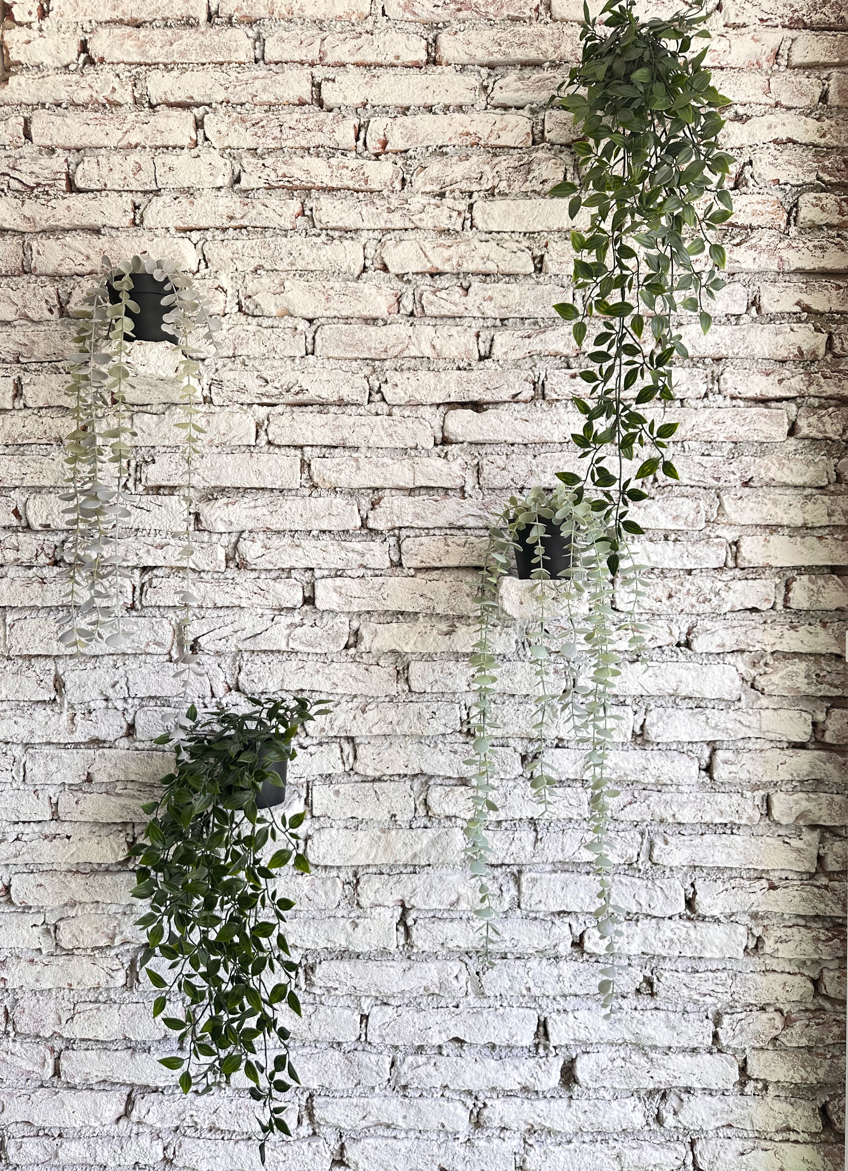 Verde Nook & Vertical Garden - White brick wall, rustic charm, hanging plants, green foliage, ivy vines, natural decor