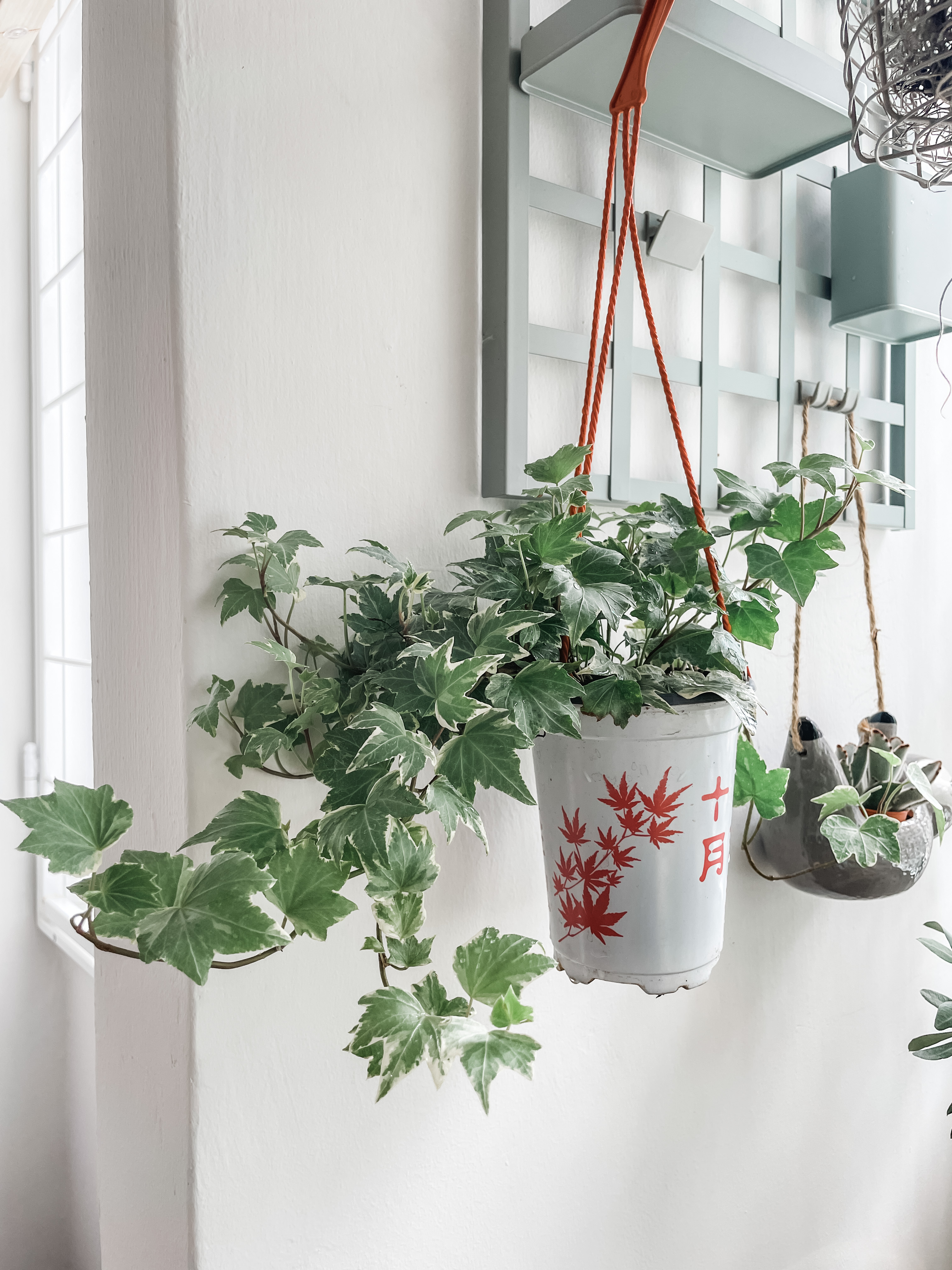 A-Slice-Of-Sky,-Sunlight-And-Serenity