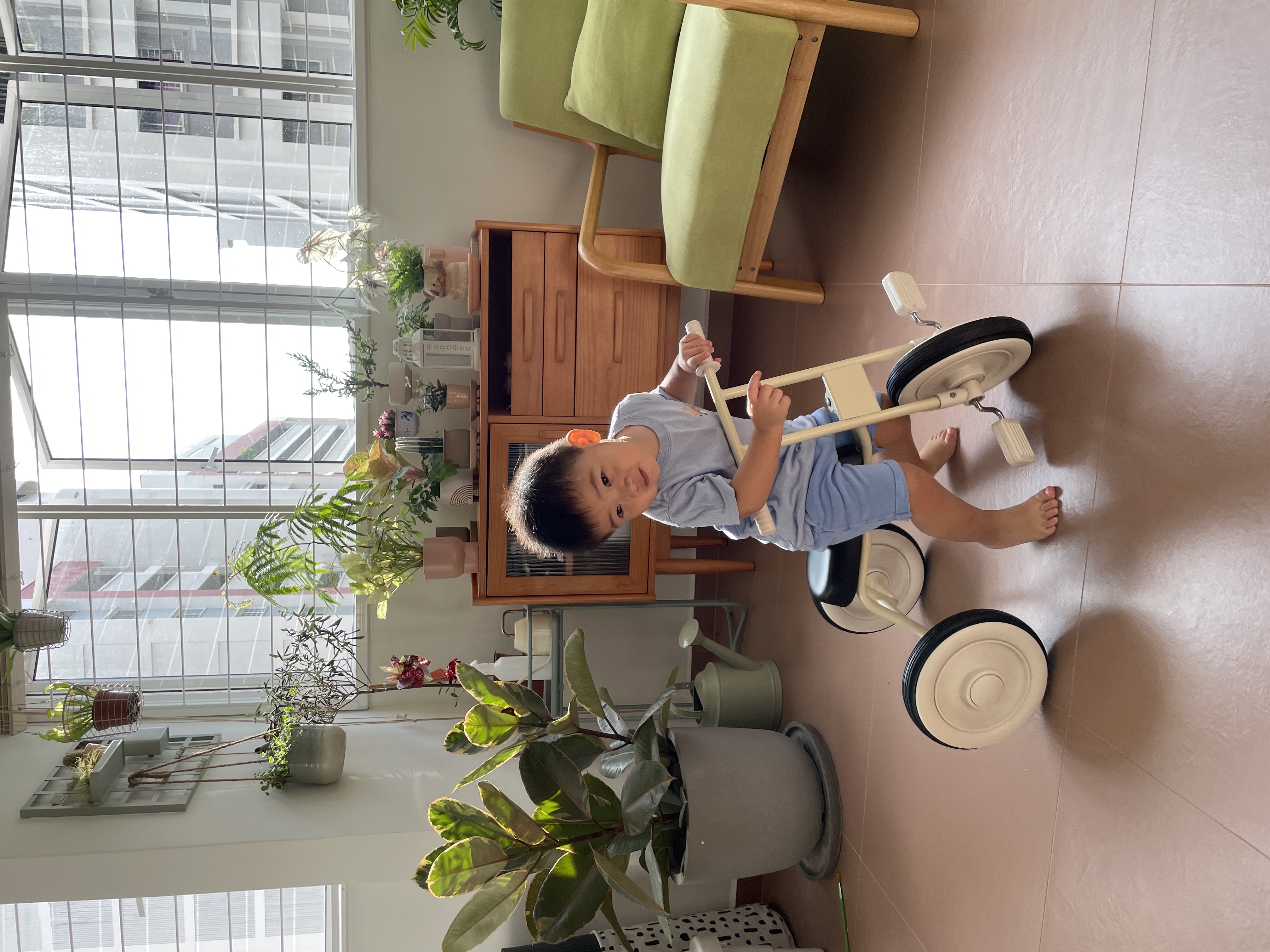 A Slice Of Sky, Sunlight And Serenity - Large windows, indoor plant, child playing, wooden furniture, green chair, indoor