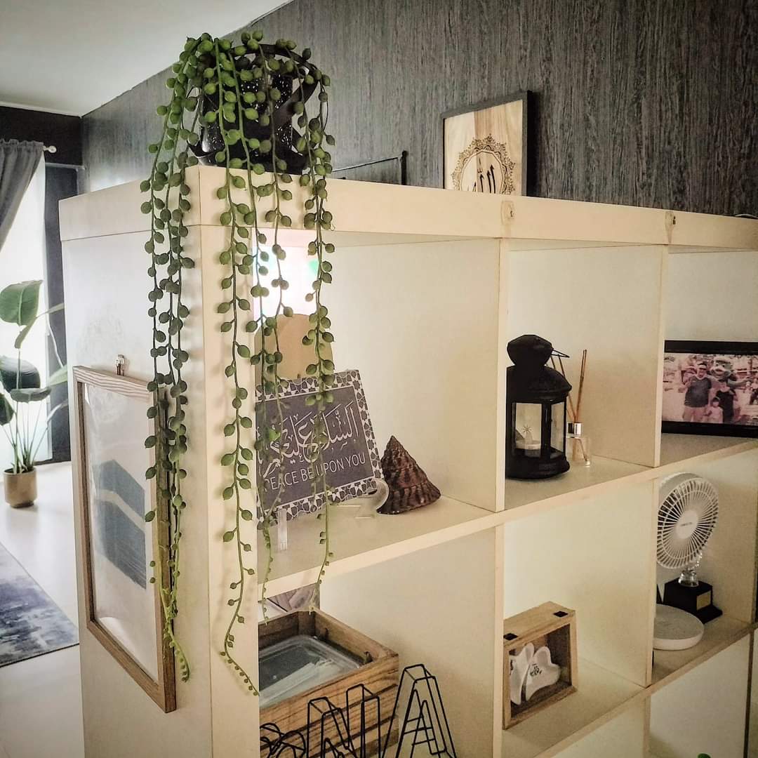 The DIY ENTRANCE - vibrant green trailing plant, hanging planters, modern interior decor, abstract art, minimalist design