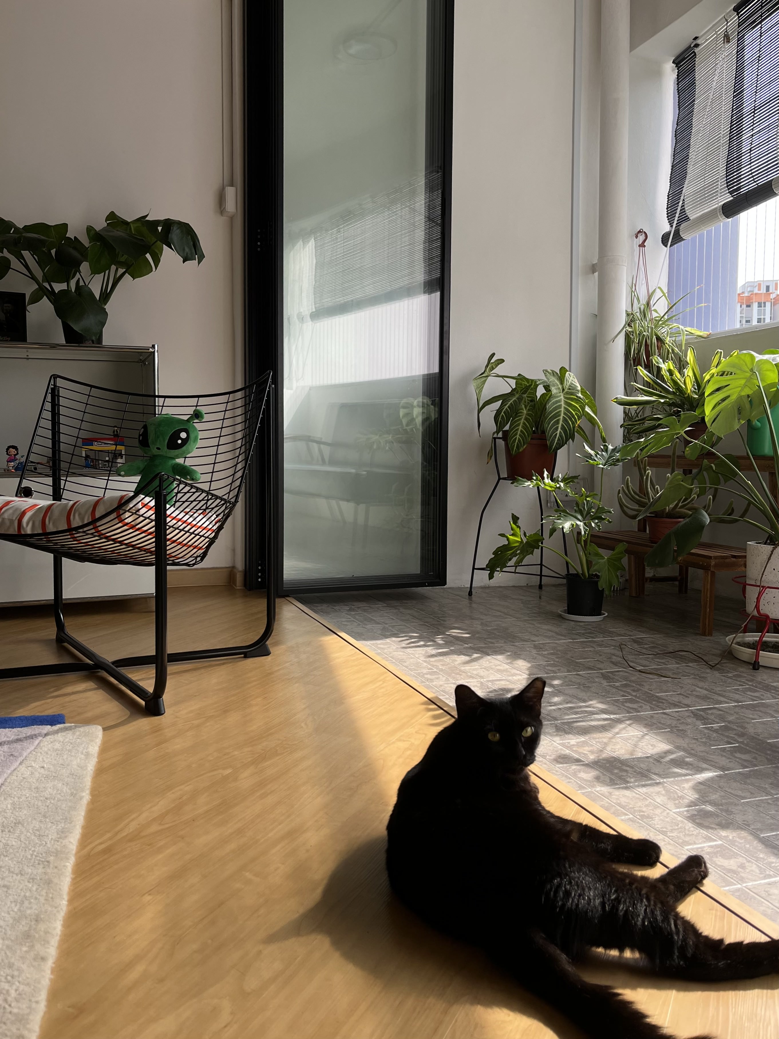 Indoor-Outdoor Living: Creating a Sanctuary at our Balcony - Modern living room, cozy corner, natural light, indoor plants