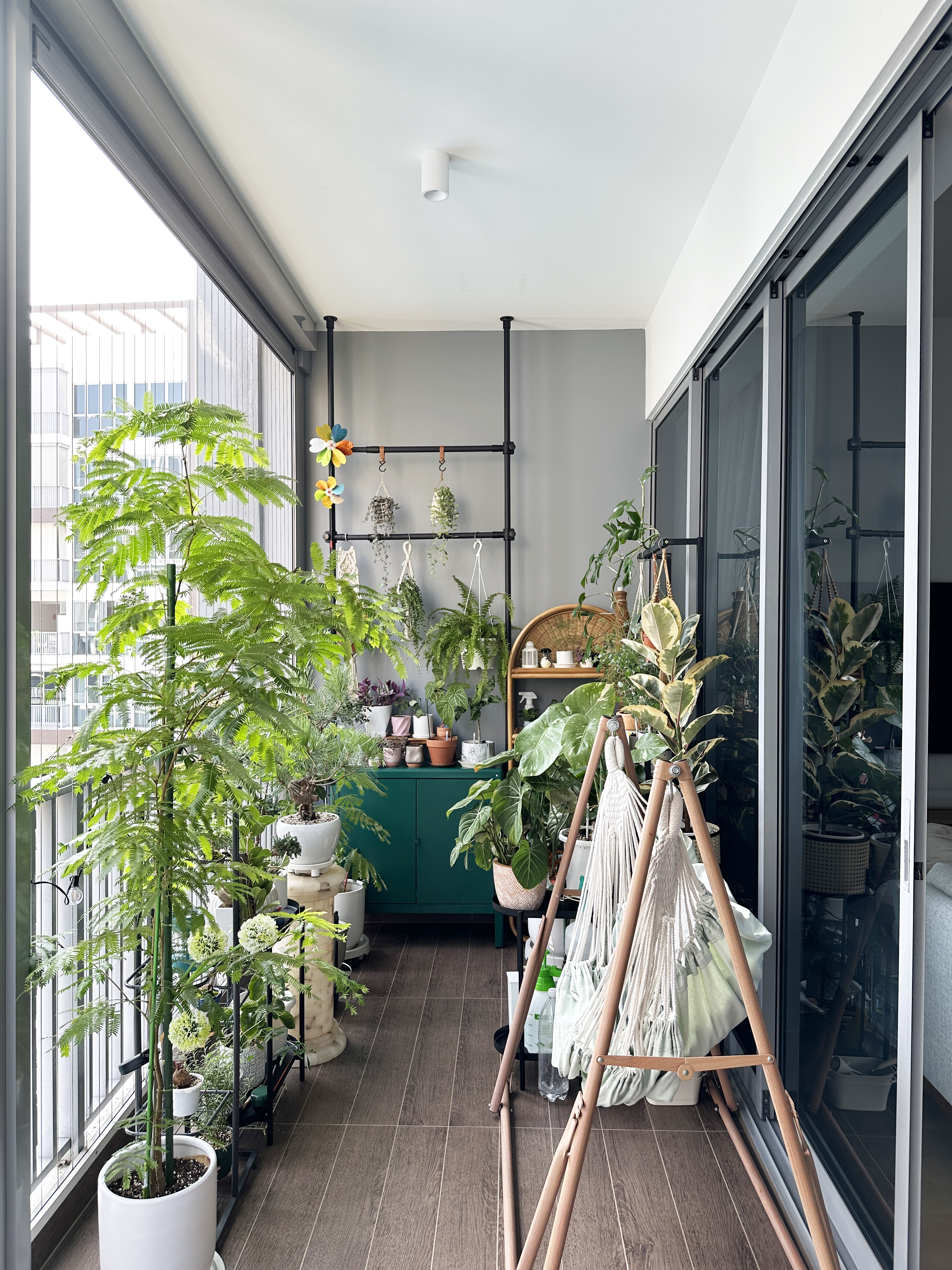 Come-hang-out-in-my-indoor-jungle