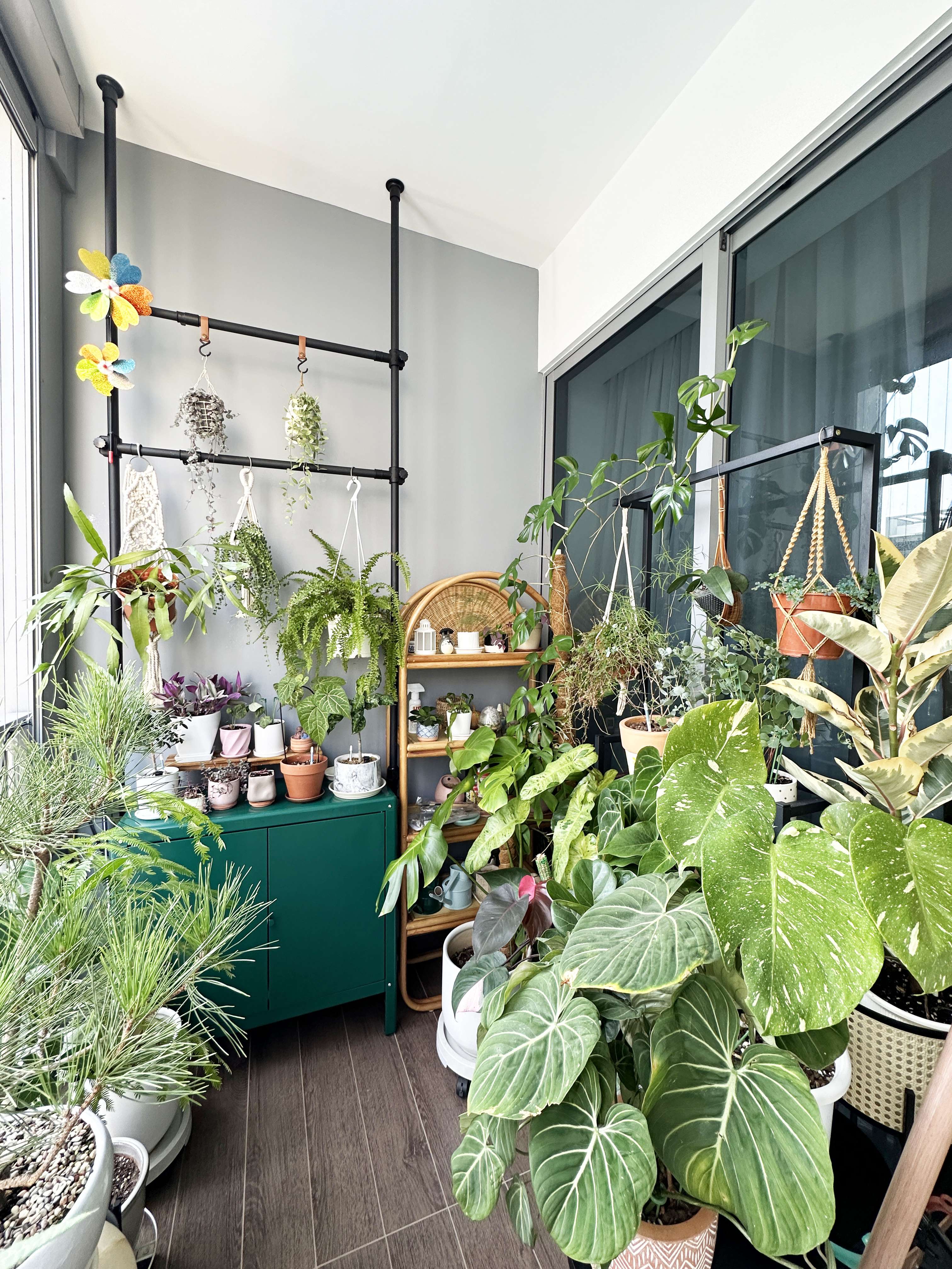 Come hang out in my indoor jungle - Green indoor plant collection, hanging planters, various potted plants, indoor garden