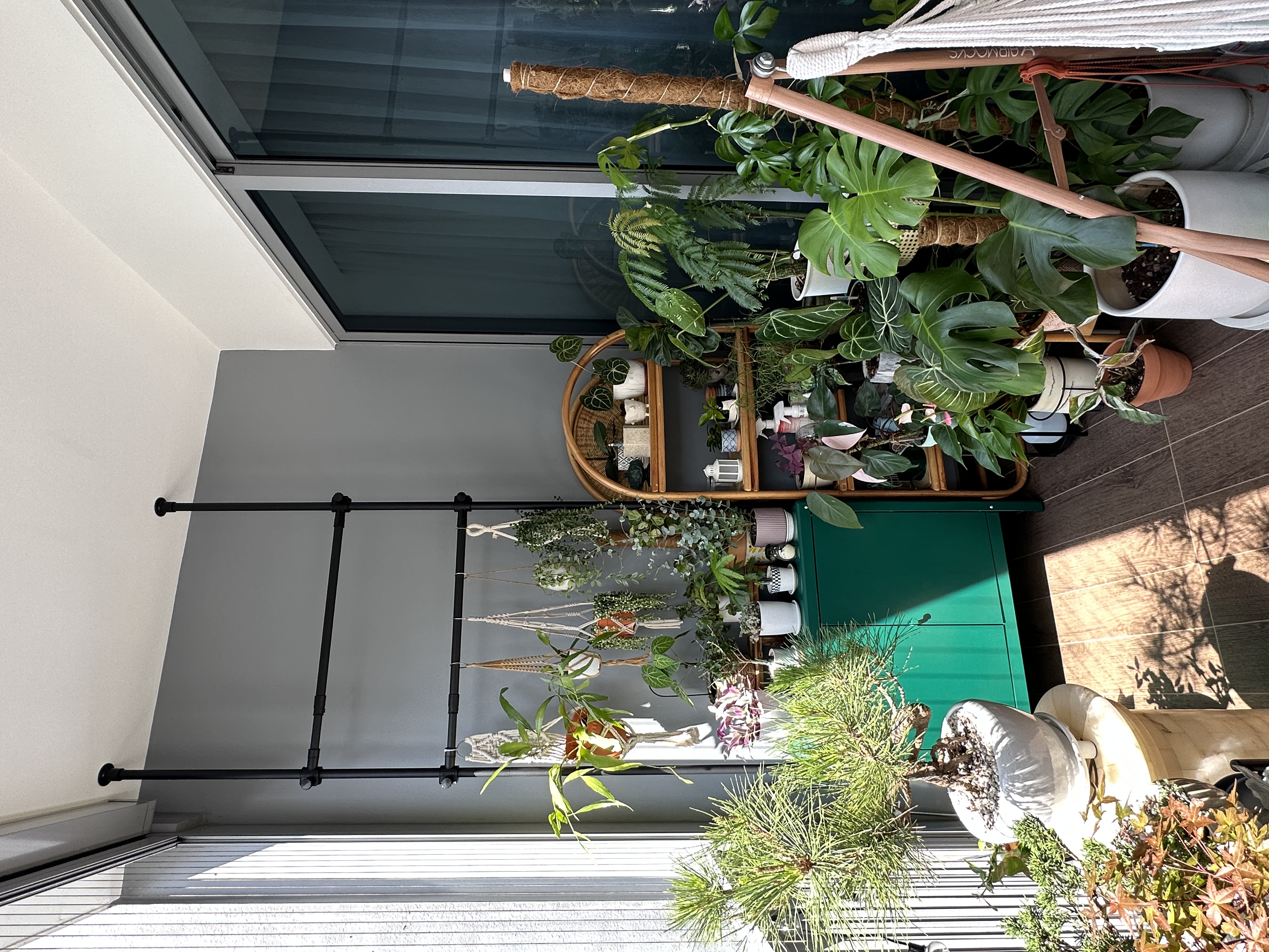Come hang out in my indoor jungle - vibrant green plants, indoor garden, multi-level shelving, natural light, indoor plants