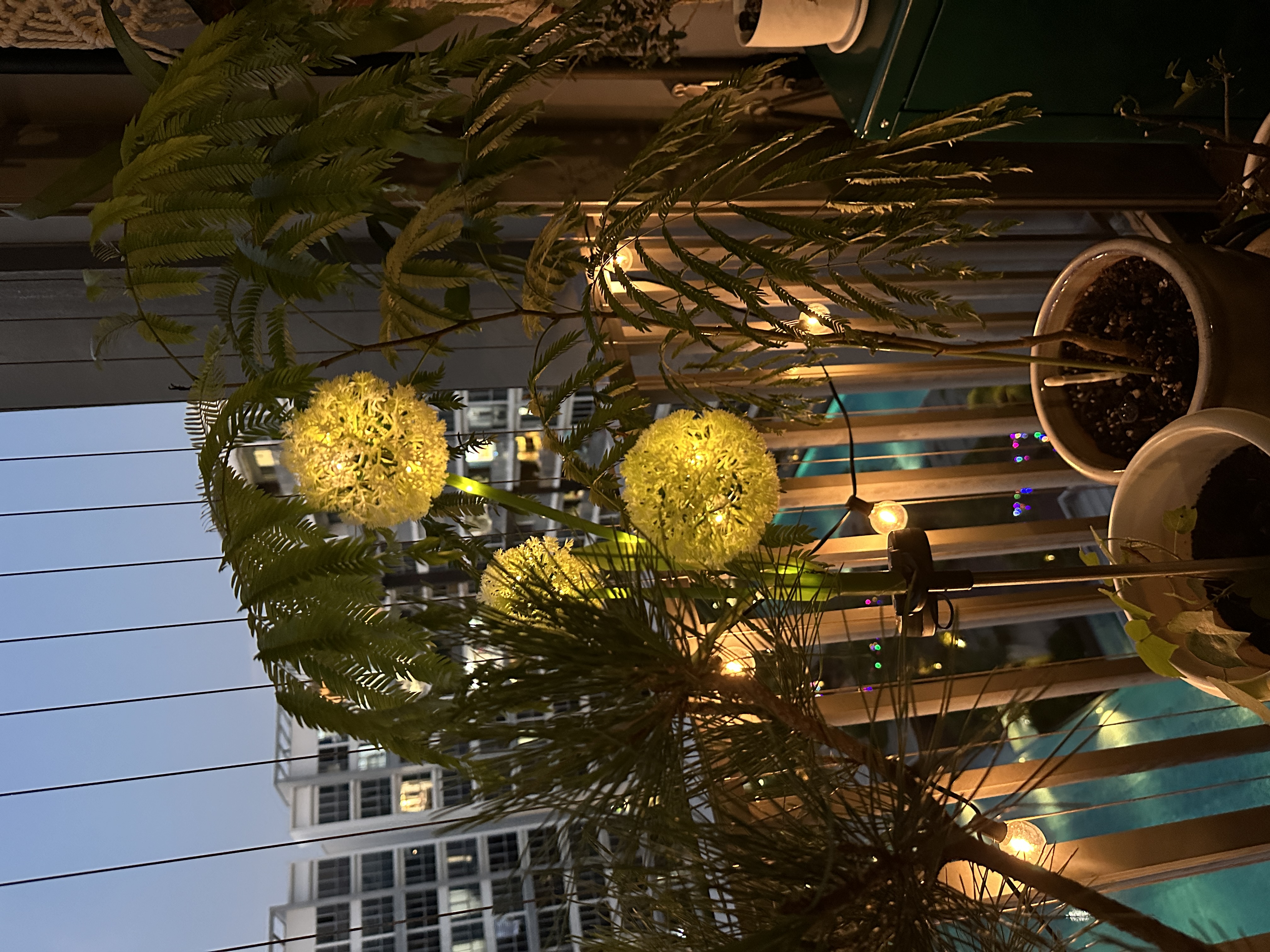 Come hang out in my indoor jungle - Ferns, lights, plants, glowing, yellow, artificial, decorative, outdoor, night, cozy