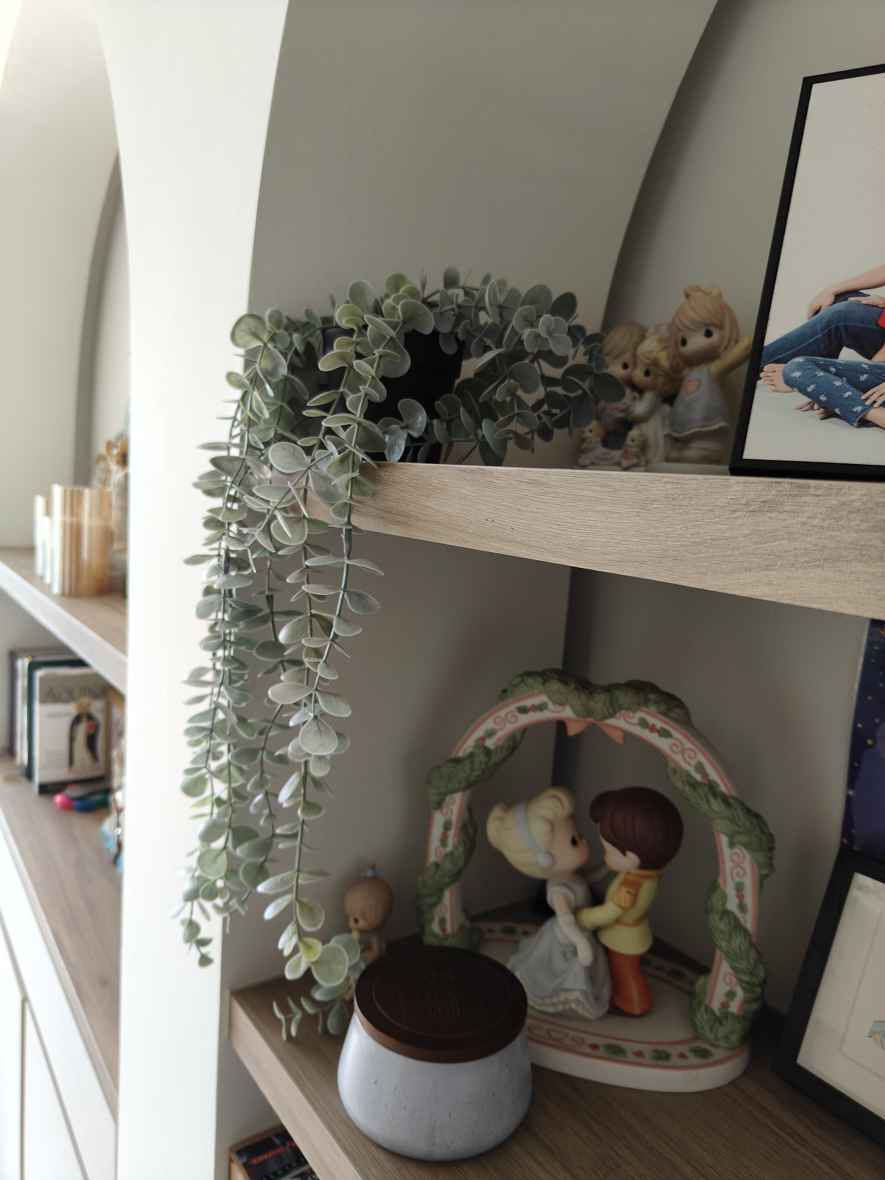 No Gardenspace for us! - Framed photo, plant, greenery, indoor setting, cozy atmosphere, wooden shelf, decorative items