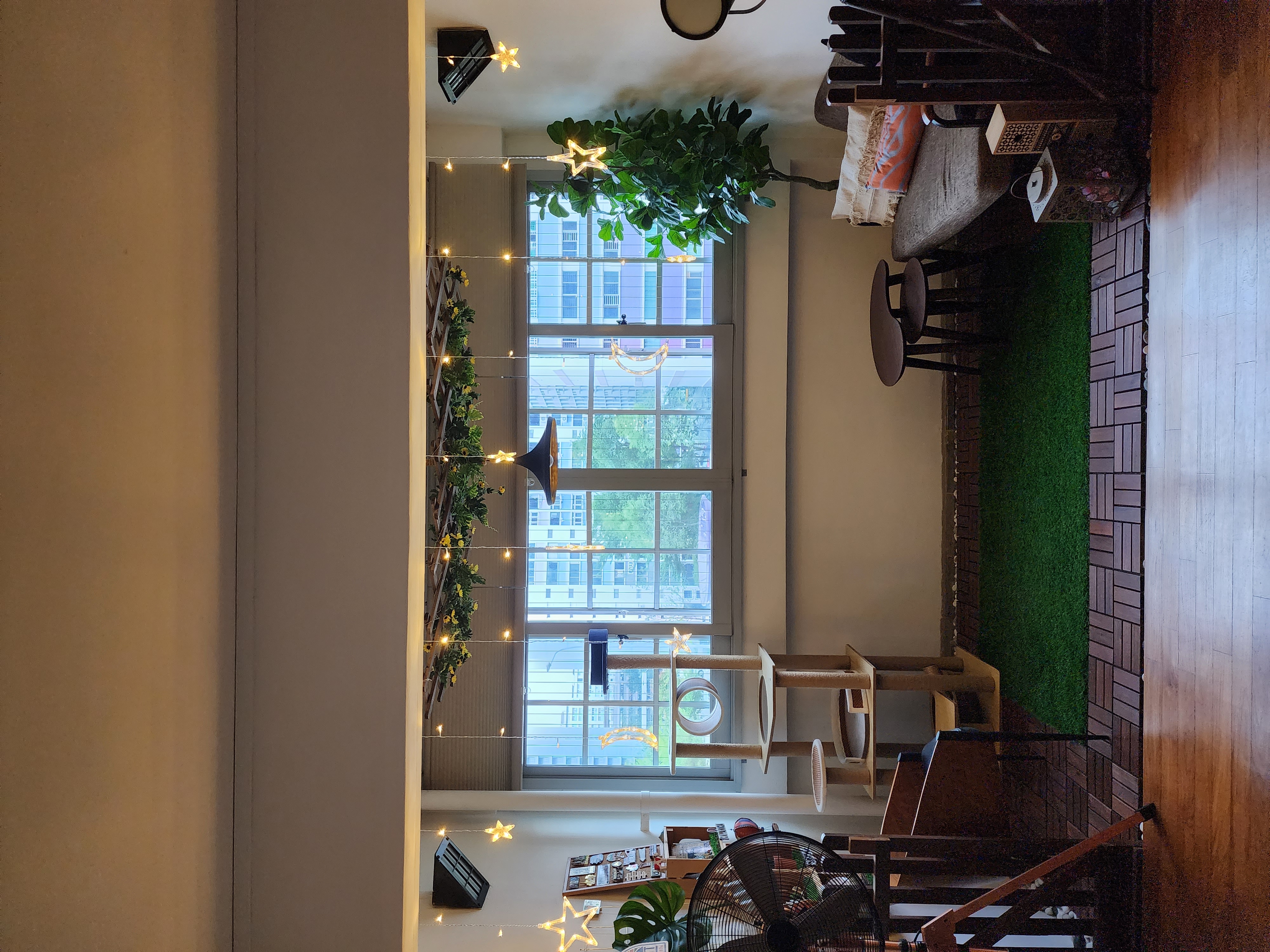 Our Zen corner - Modern living room, cozy corner, large windows, star decorations, indoor plants, wooden flooring, green