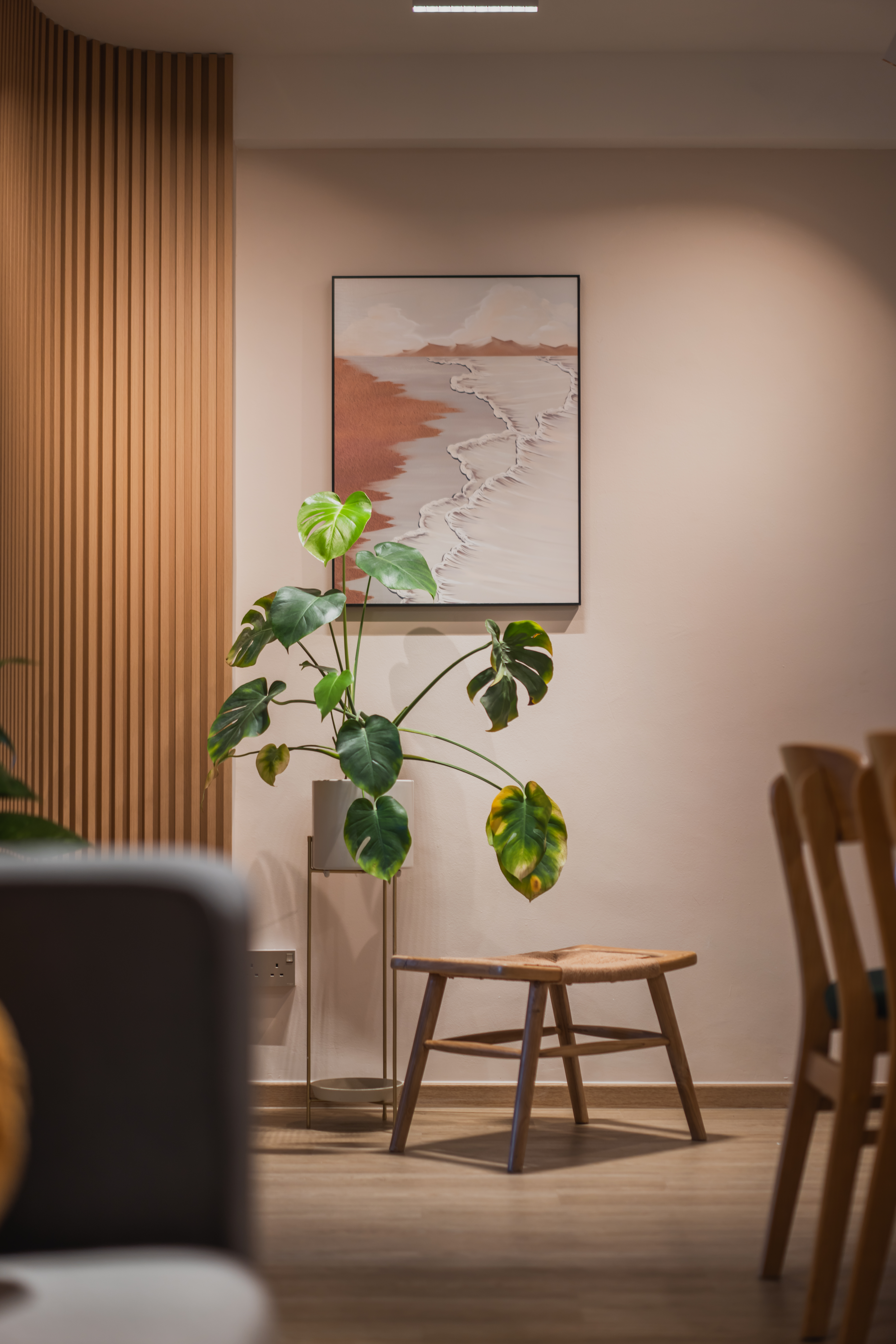 Nature-inspired|-Adding-a-touch-of-green|-House-plants-edtion