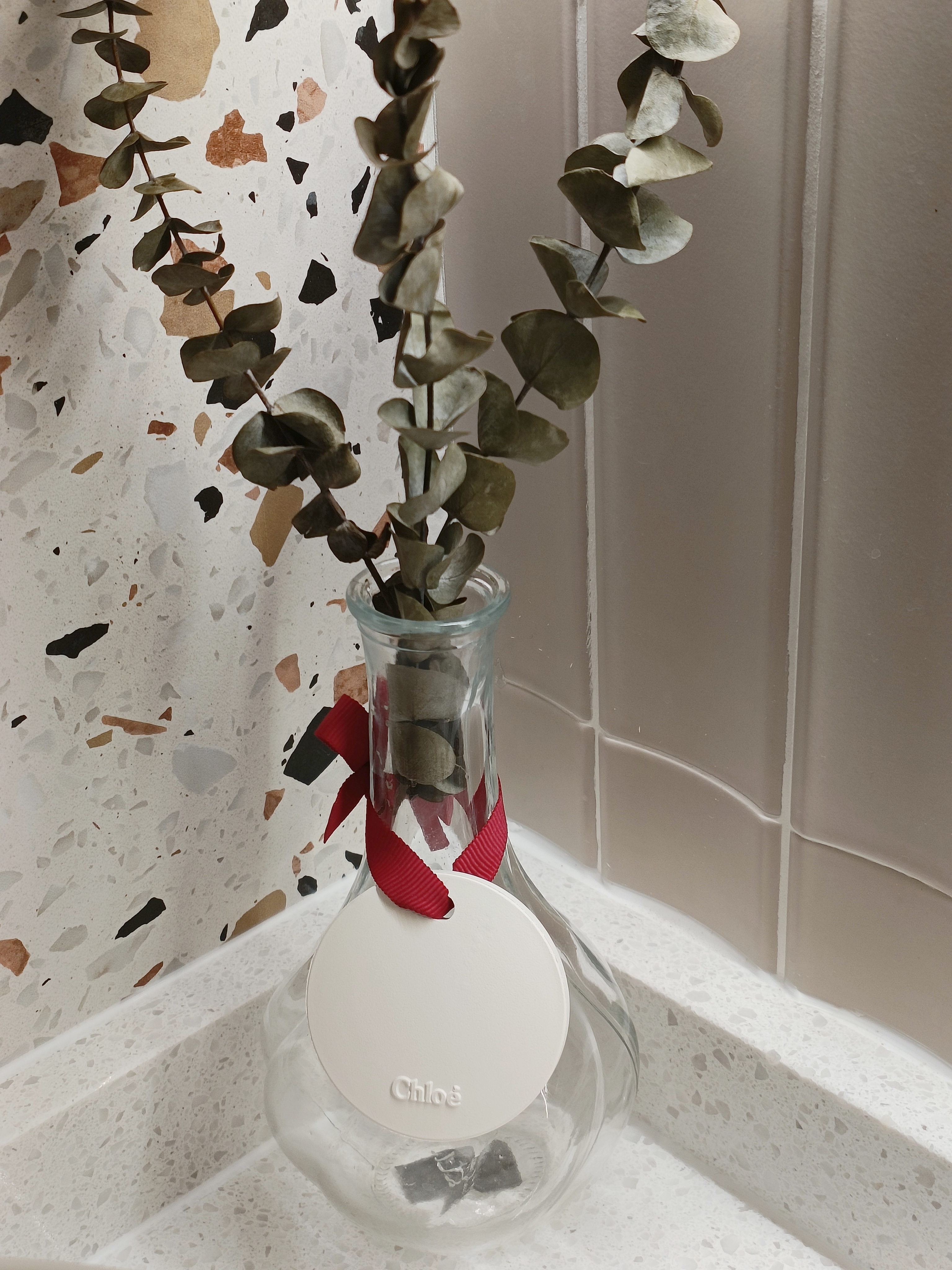 Nature inspired| Adding a touch of green| House plants edtion - vibrant green leaves, abstract background, textured wall