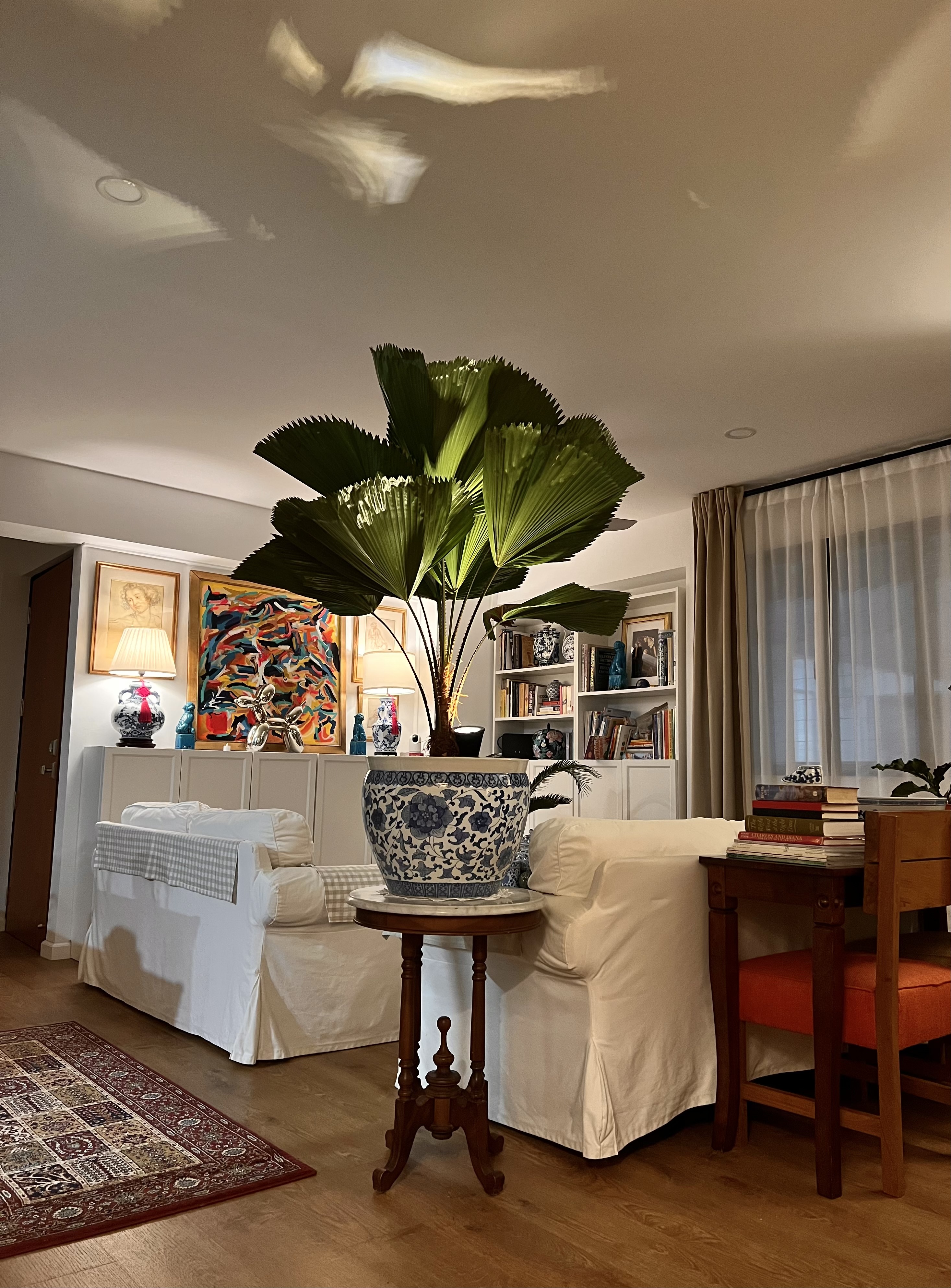 Where Houseplants Create a Cozy, Green Haven - Large green potted plant, white sofa, wooden floor, red patterned rug, white