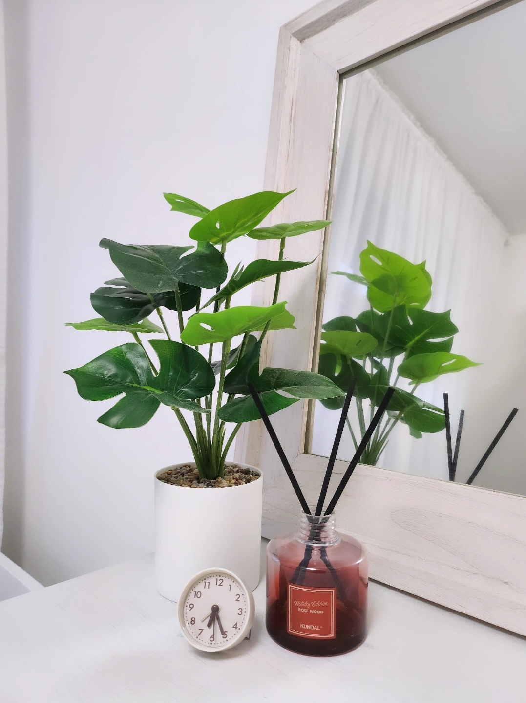 Move-a-round plants - green potted plant, white vase, black sticks, red liquid, holiday edition, rose wood, Kundalini, clock