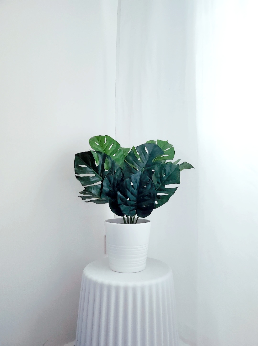Customer home photo 3: Move-a-round plants