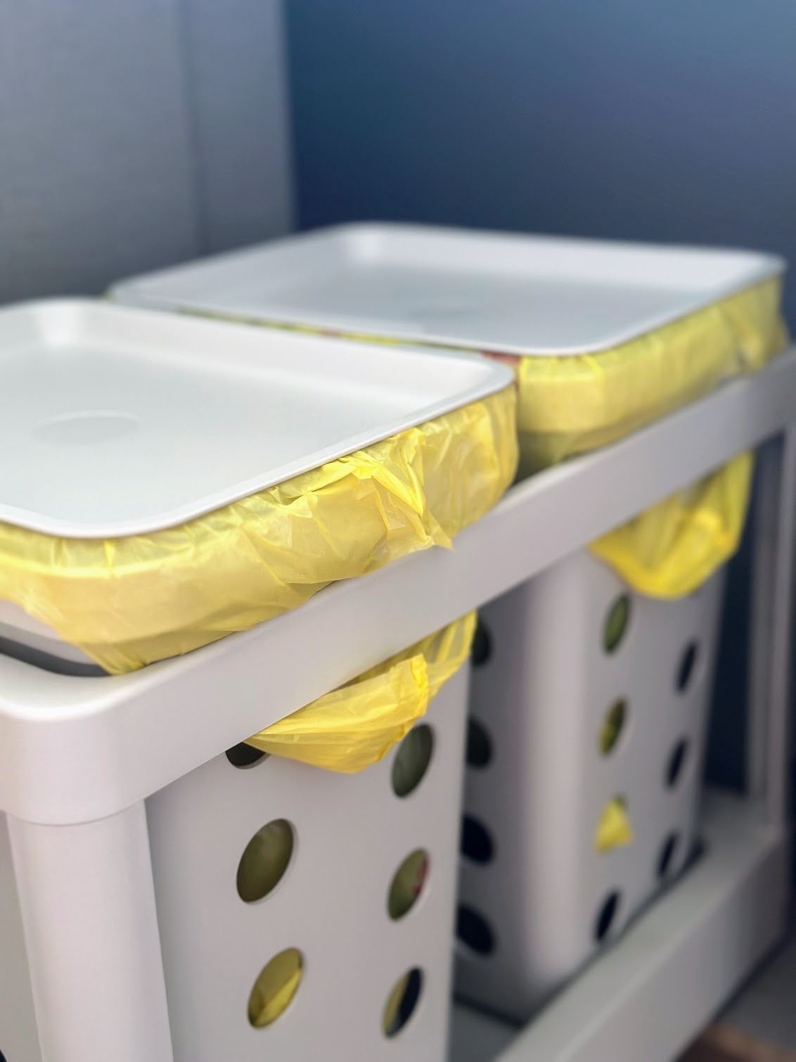 Take a Look at Our Dry and Wet Kitchens - White storage bins, yellow plastic bags, organized shelving, clean and bright