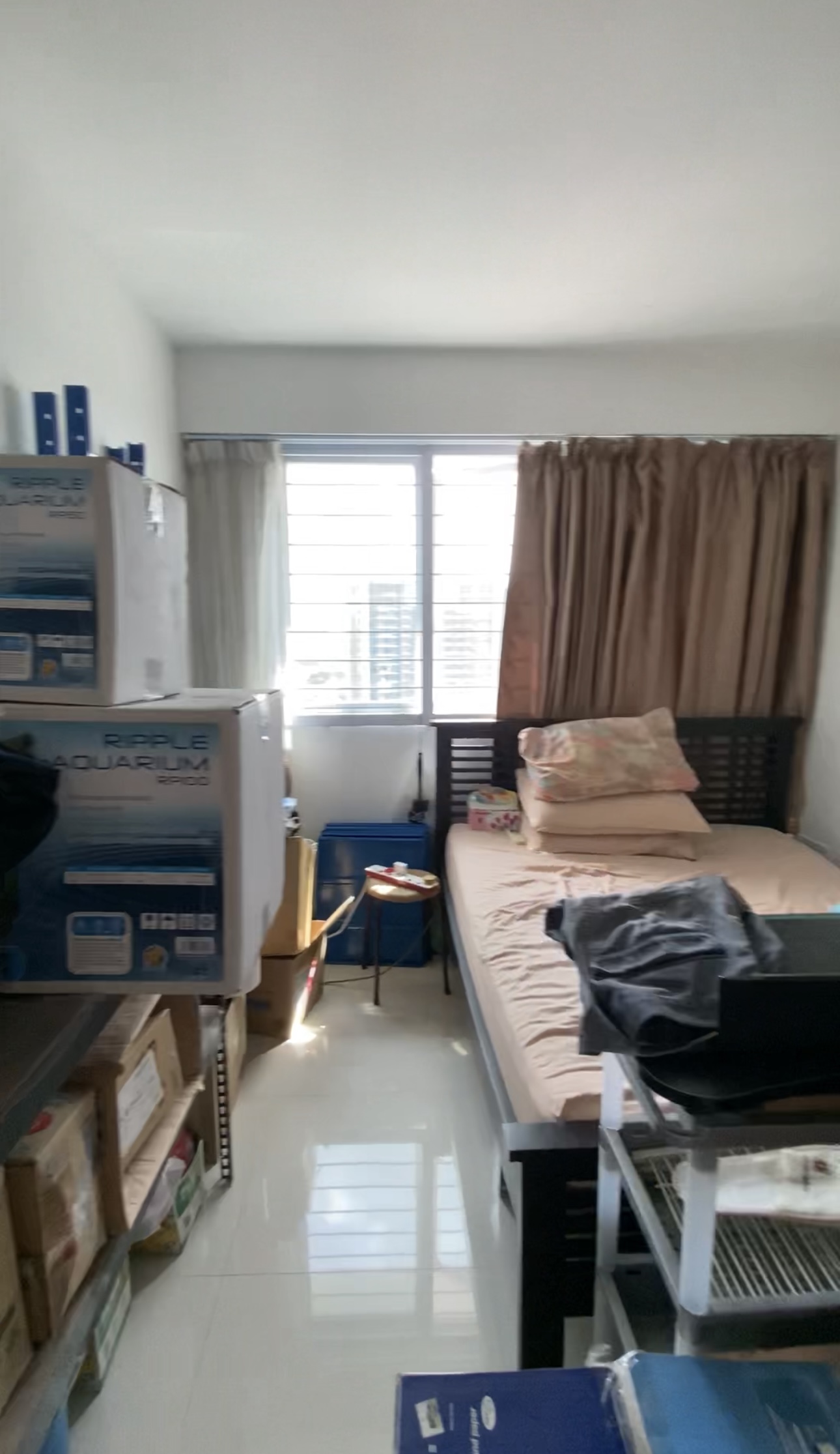 Love & Light: What Brings You Joy? - Neatly organized bedroom with large window, Blue aquarium boxes on shelves, Bed with