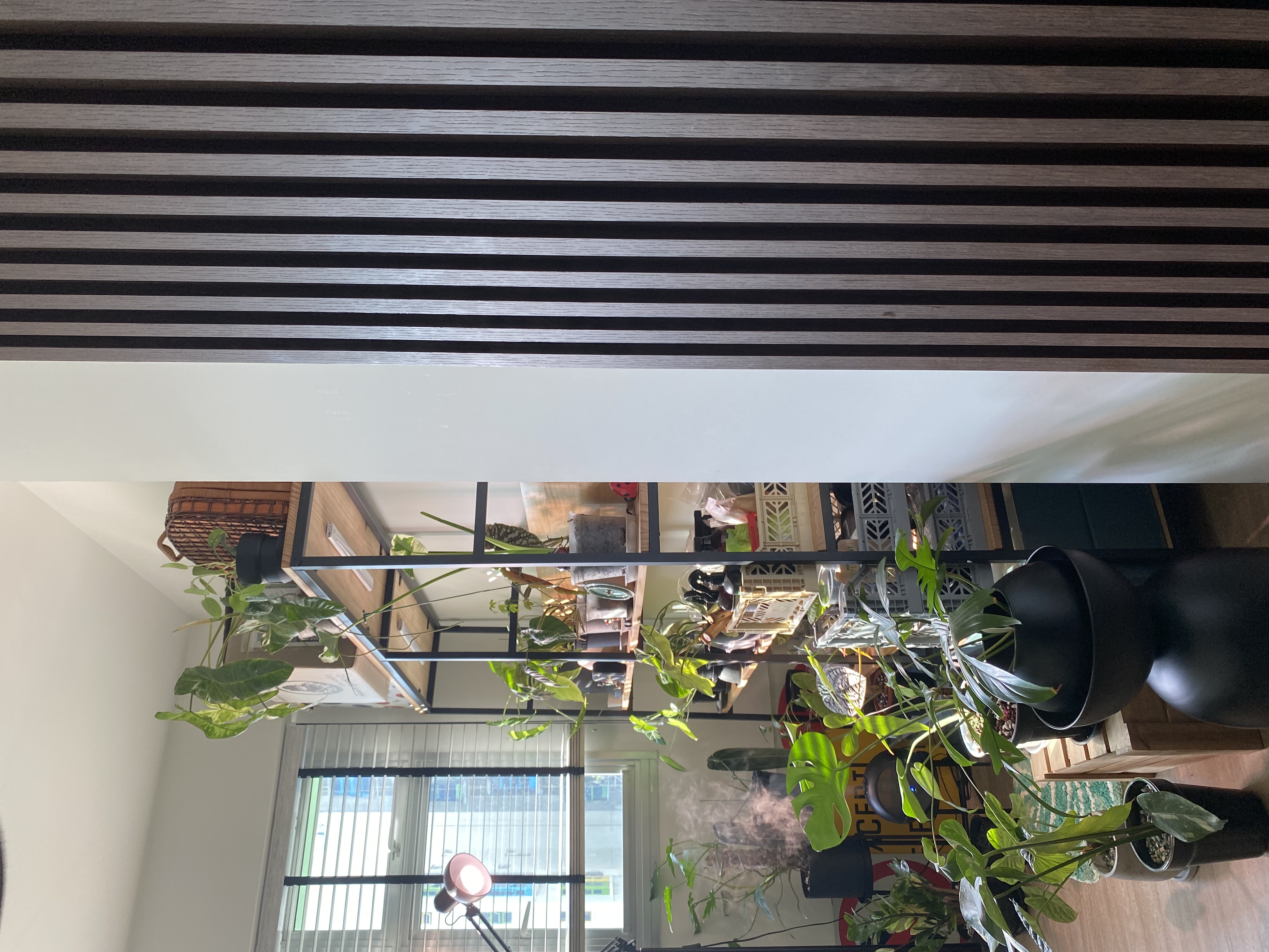 Green spice and everything nice - Wooden slats, indoor setting, natural light, plants, modern decor, indoor garden, cozy