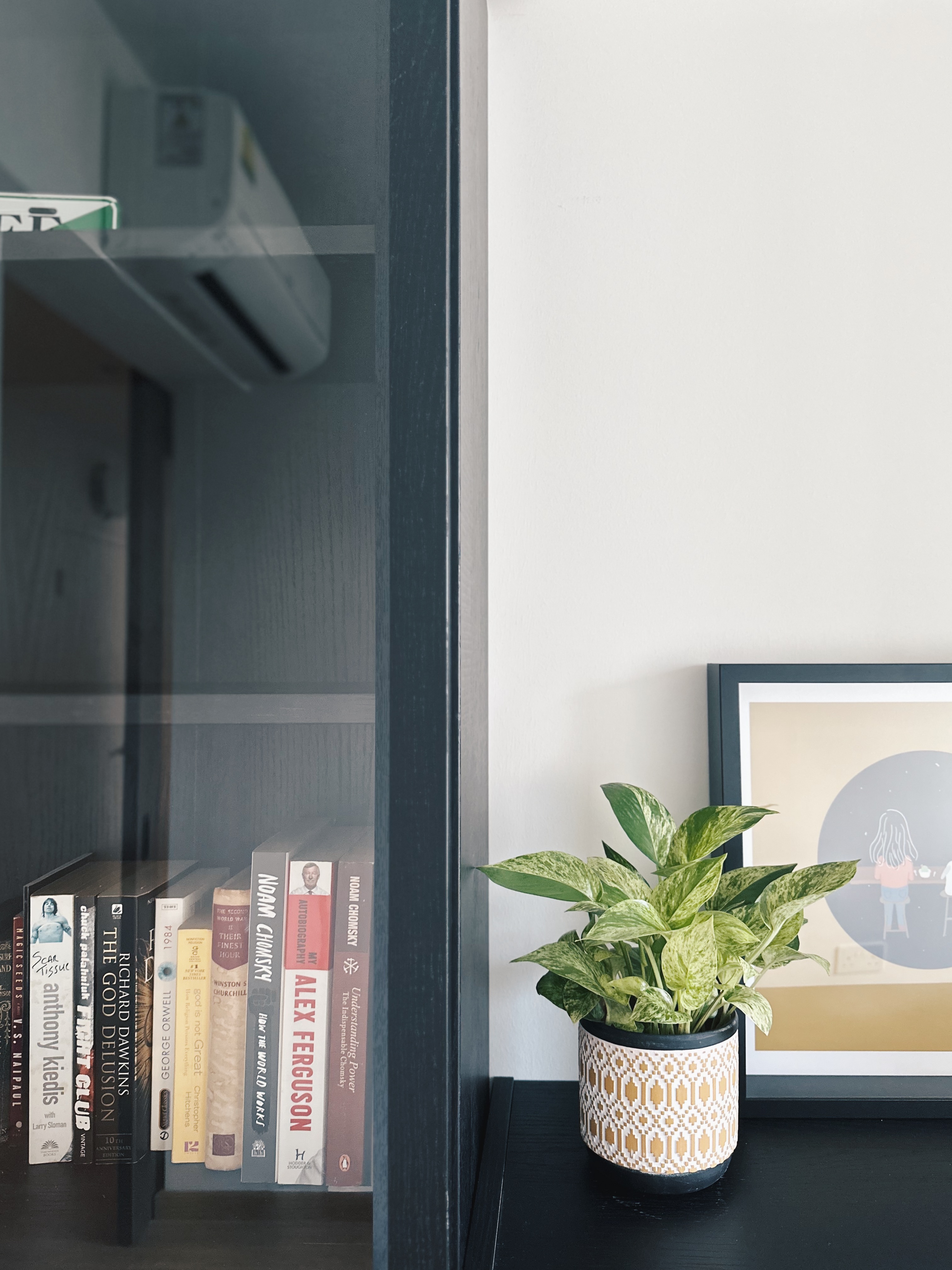 Flora and faux-na 🌱 - Bookshelf, indoor setting, modern decor, bookshelf glass, books, shelf, indoor plants, indoor