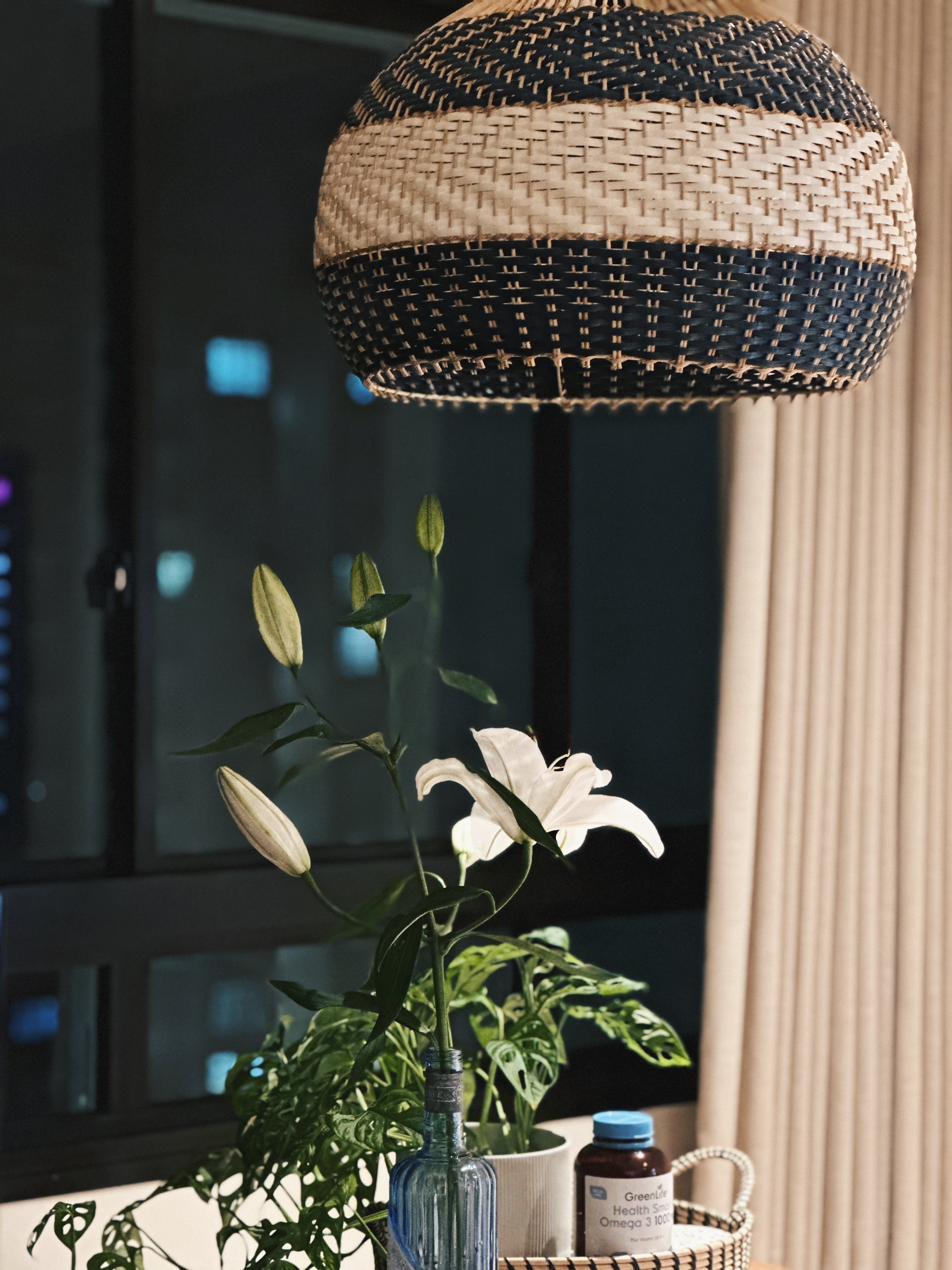Flora and faux-na 🌱 - Whimsical hanging lamp, dark window, soft lighting, indoor setting, night view, green plants, white