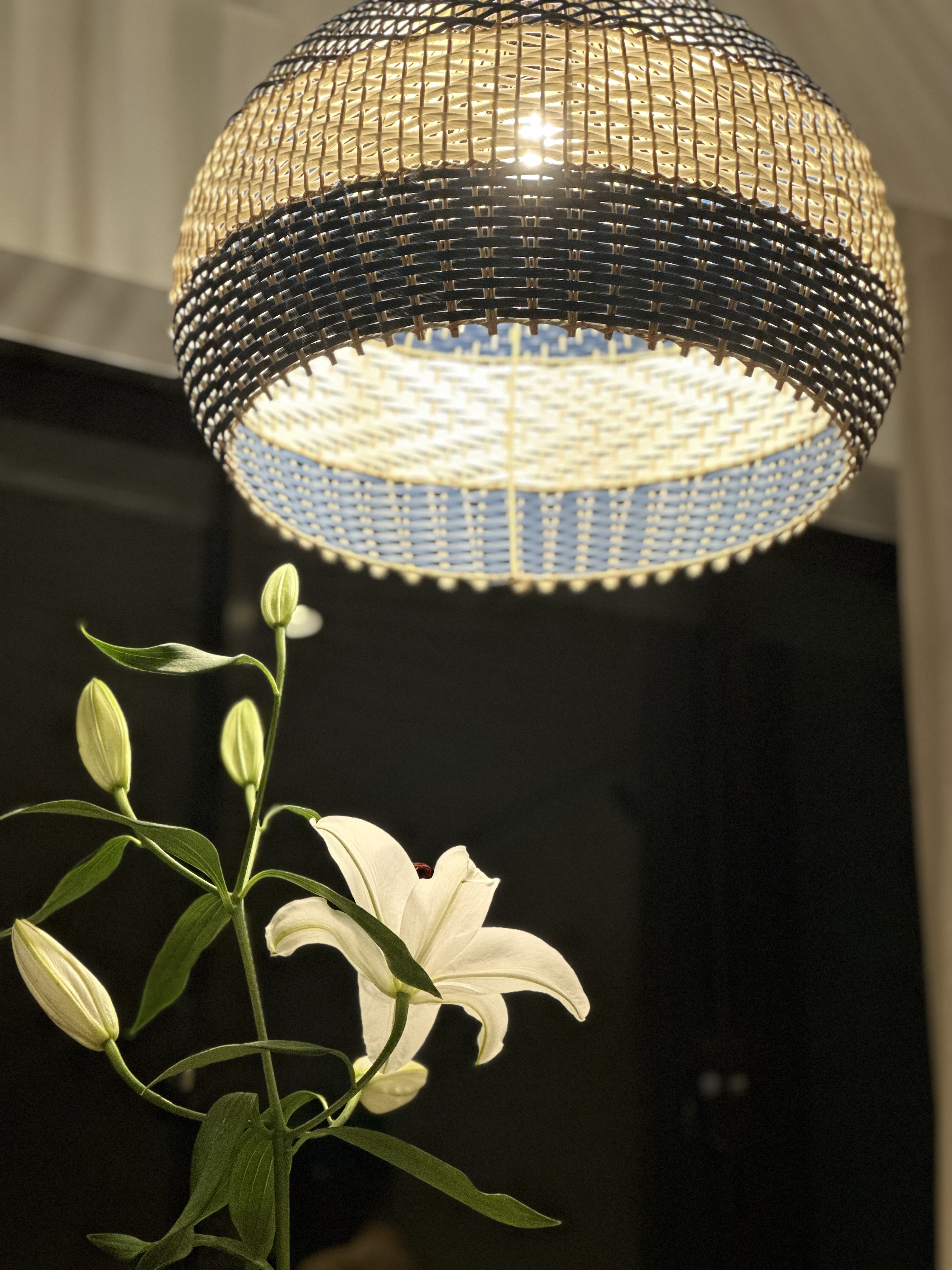 Flora-and-faux-na-🌱