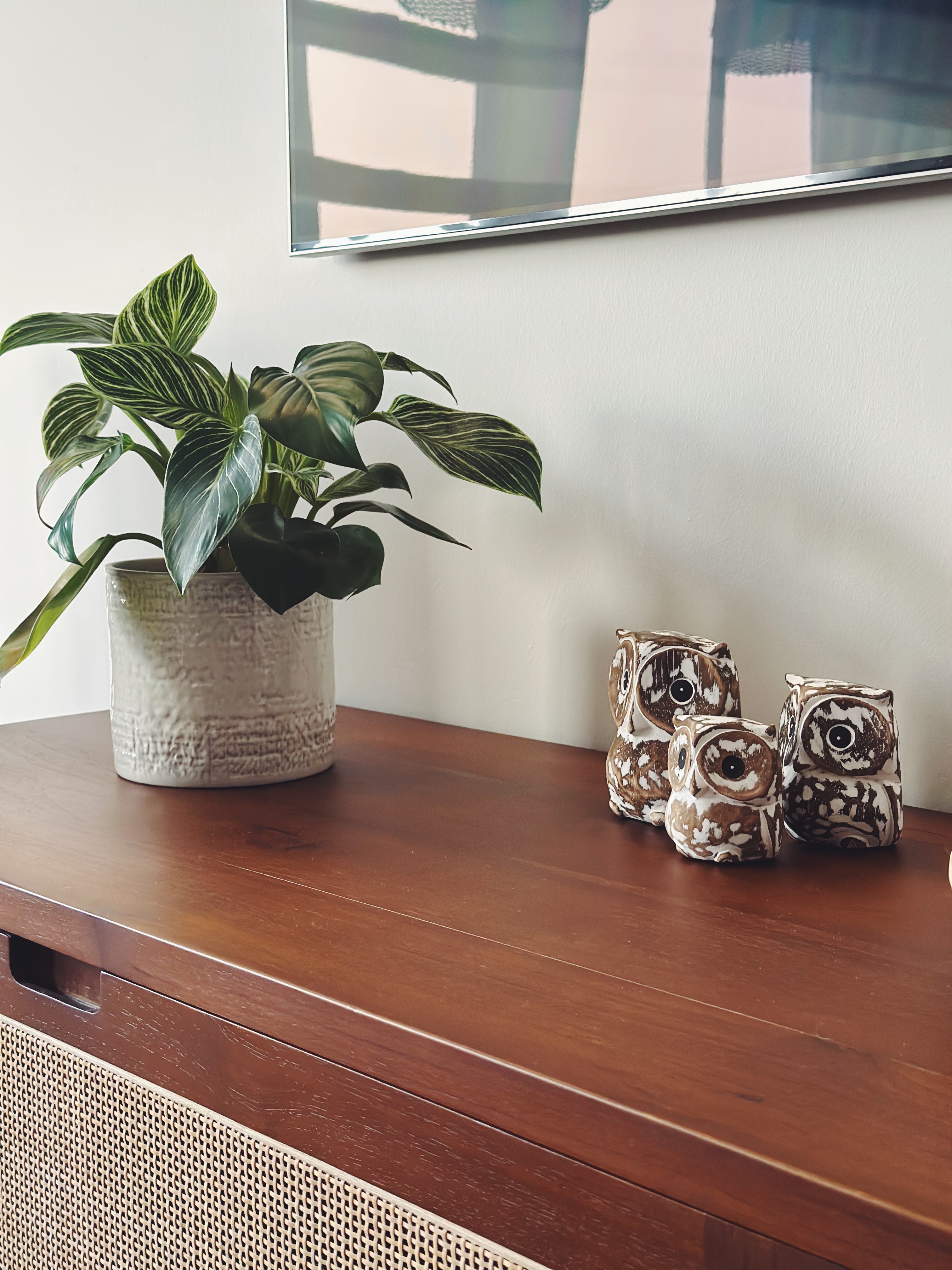 Flora and faux-na 🌱 - vibrant green plant, textured pot, natural light, indoor setting, modern decor, abstract pattern