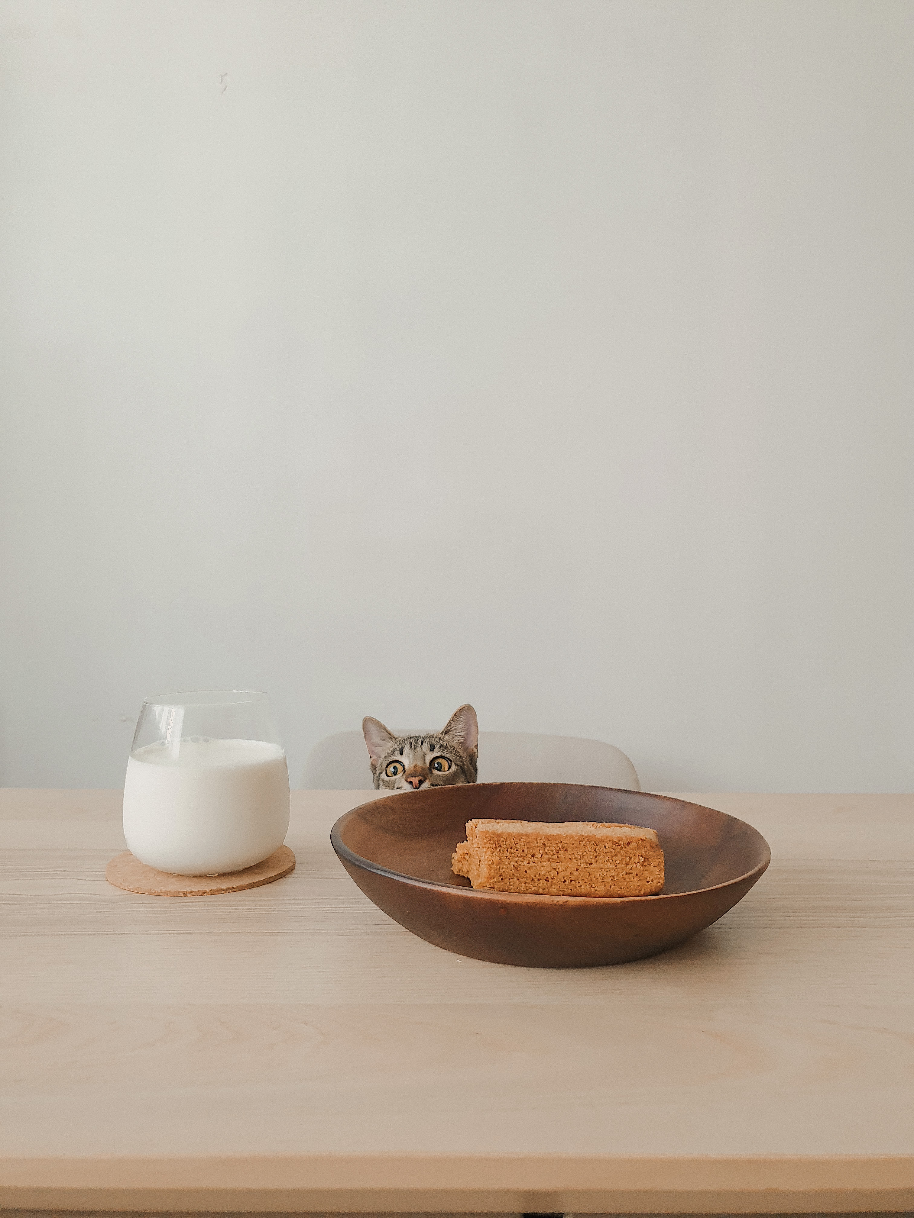 New Beginnings with IKEA Style Furniture Bedroom - Glass of milk, cat peeking, wooden table, brown bowl, cat's face, curious
