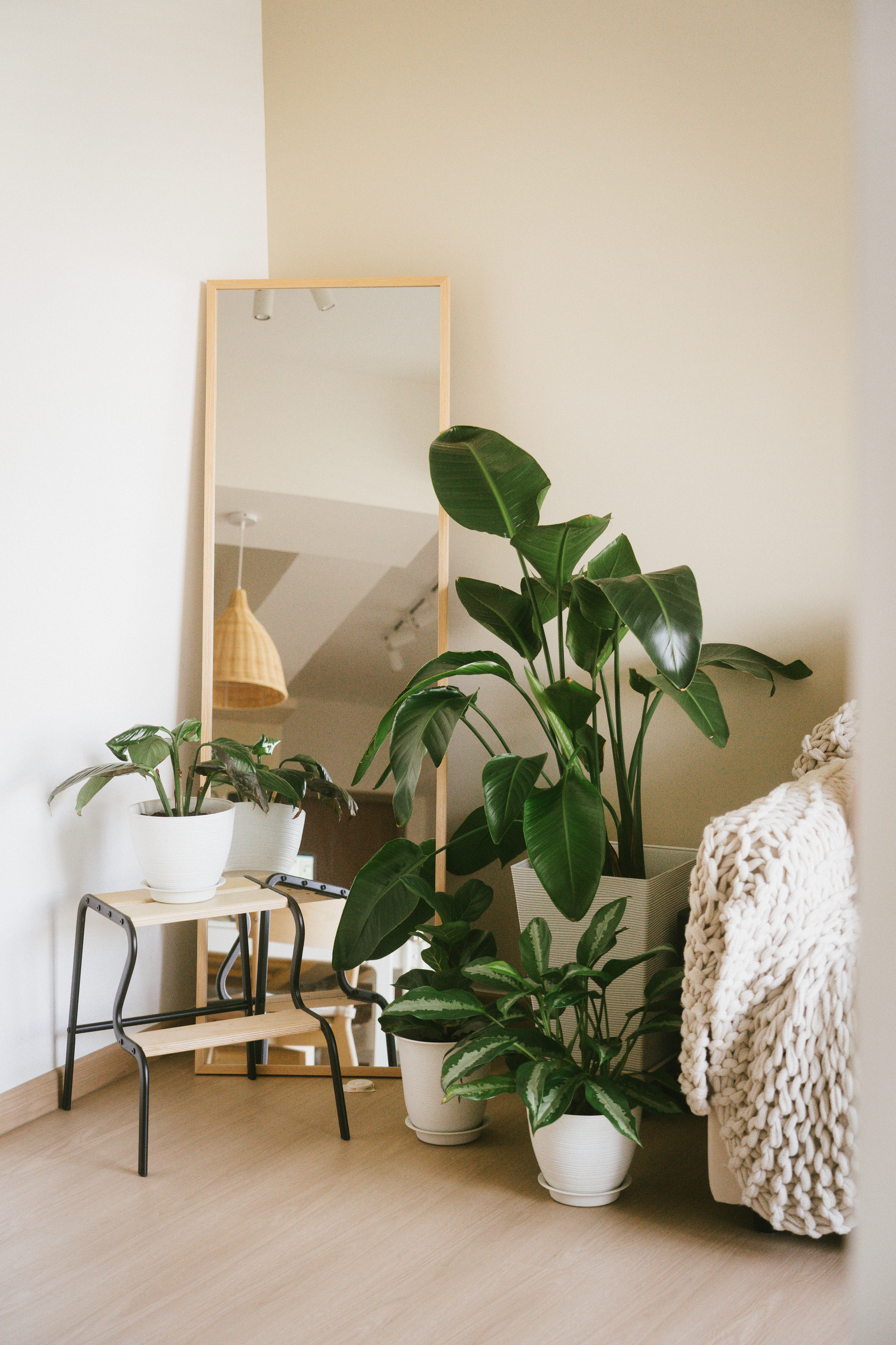 Green is the new black 🪴| Indoor plant tour | HDB Corridor "Balcony" - Green potted plants, minimalist decor, white wall