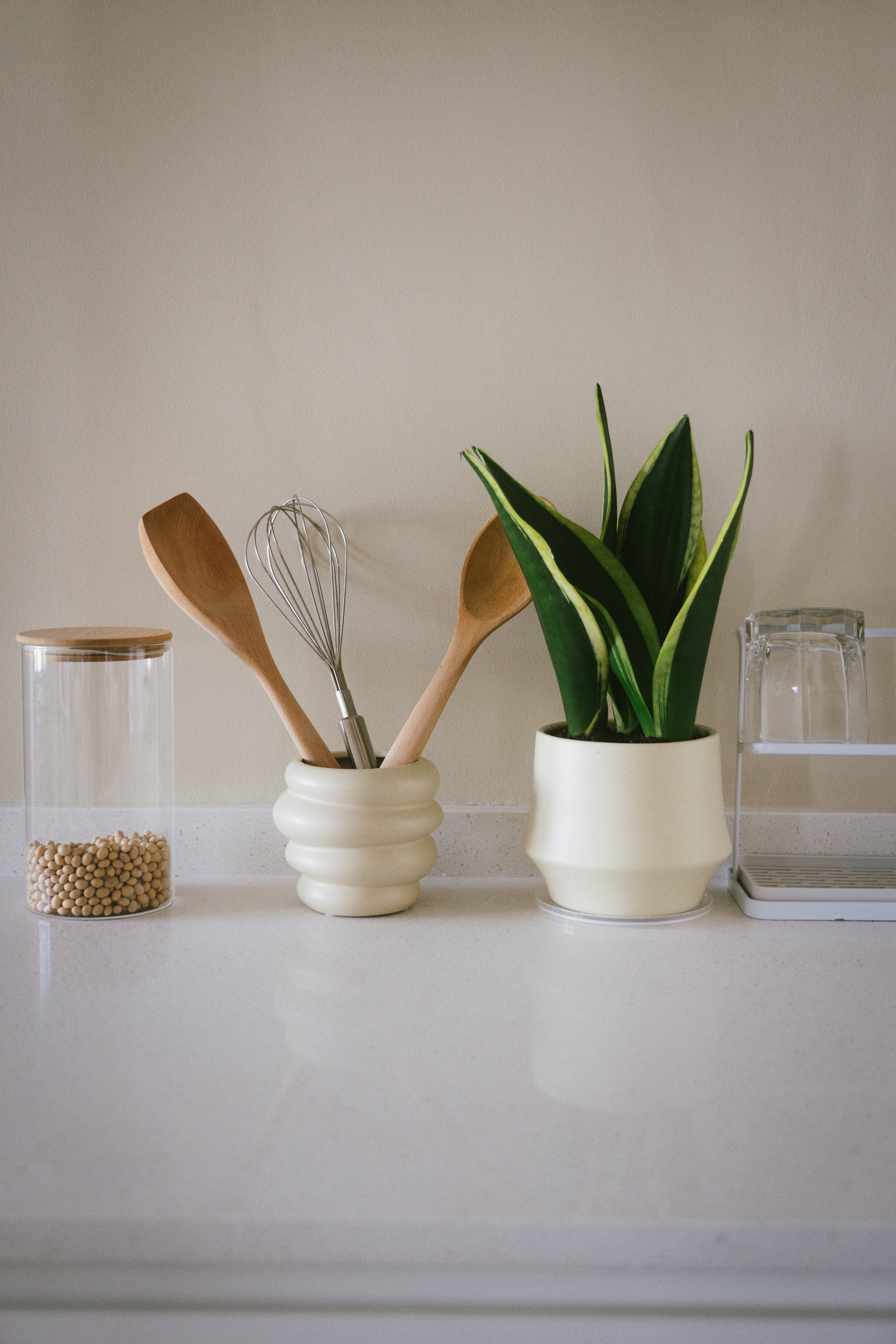 Green is the new black 🪴| Indoor plant tour | HDB Corridor "Balcony" - wooden kitchen utensils, white ceramic container