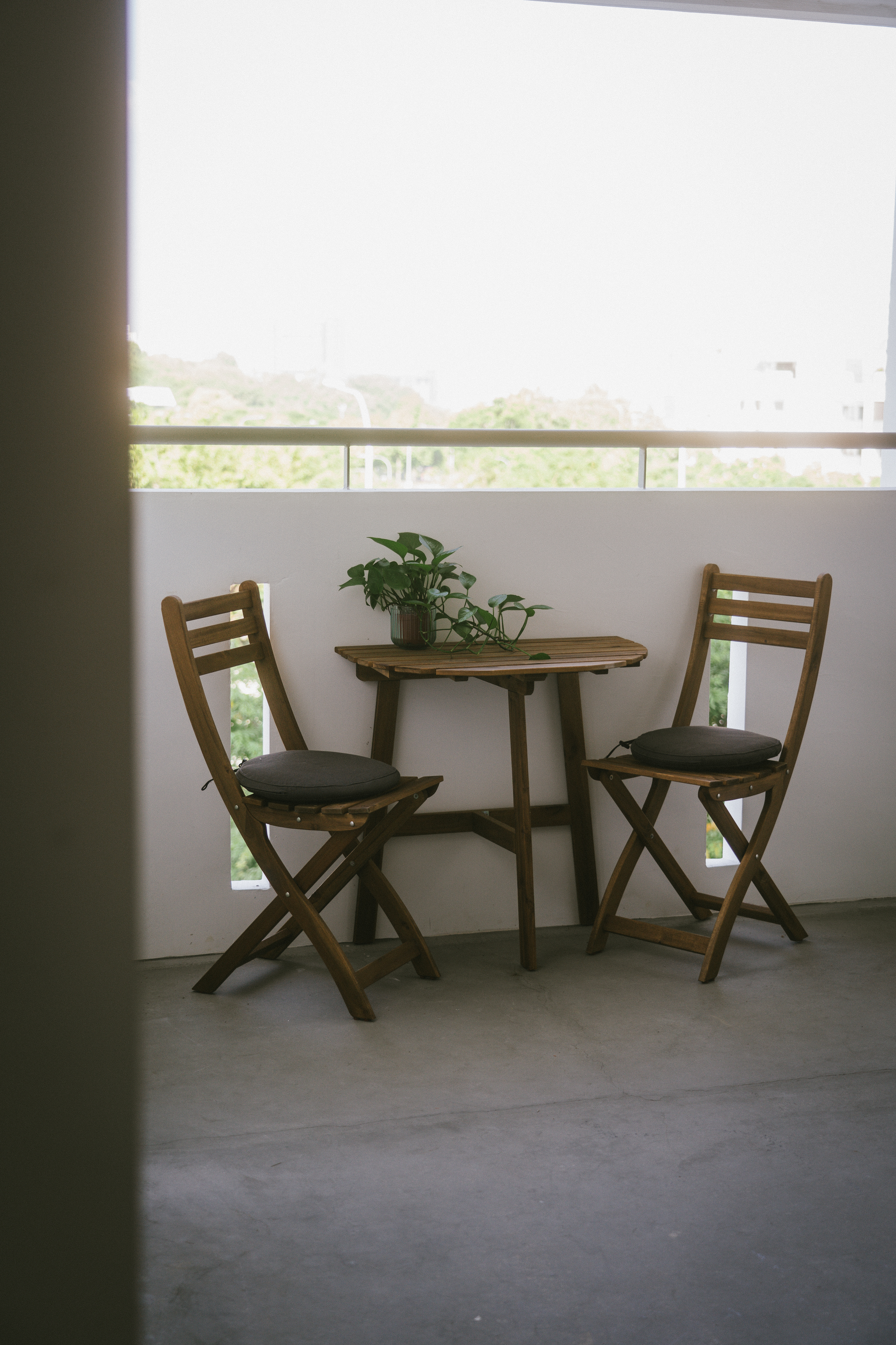 Green-is-the-new-black-🪴|-Indoor-plant-tour-|-HDB-Corridor-"Balcony"