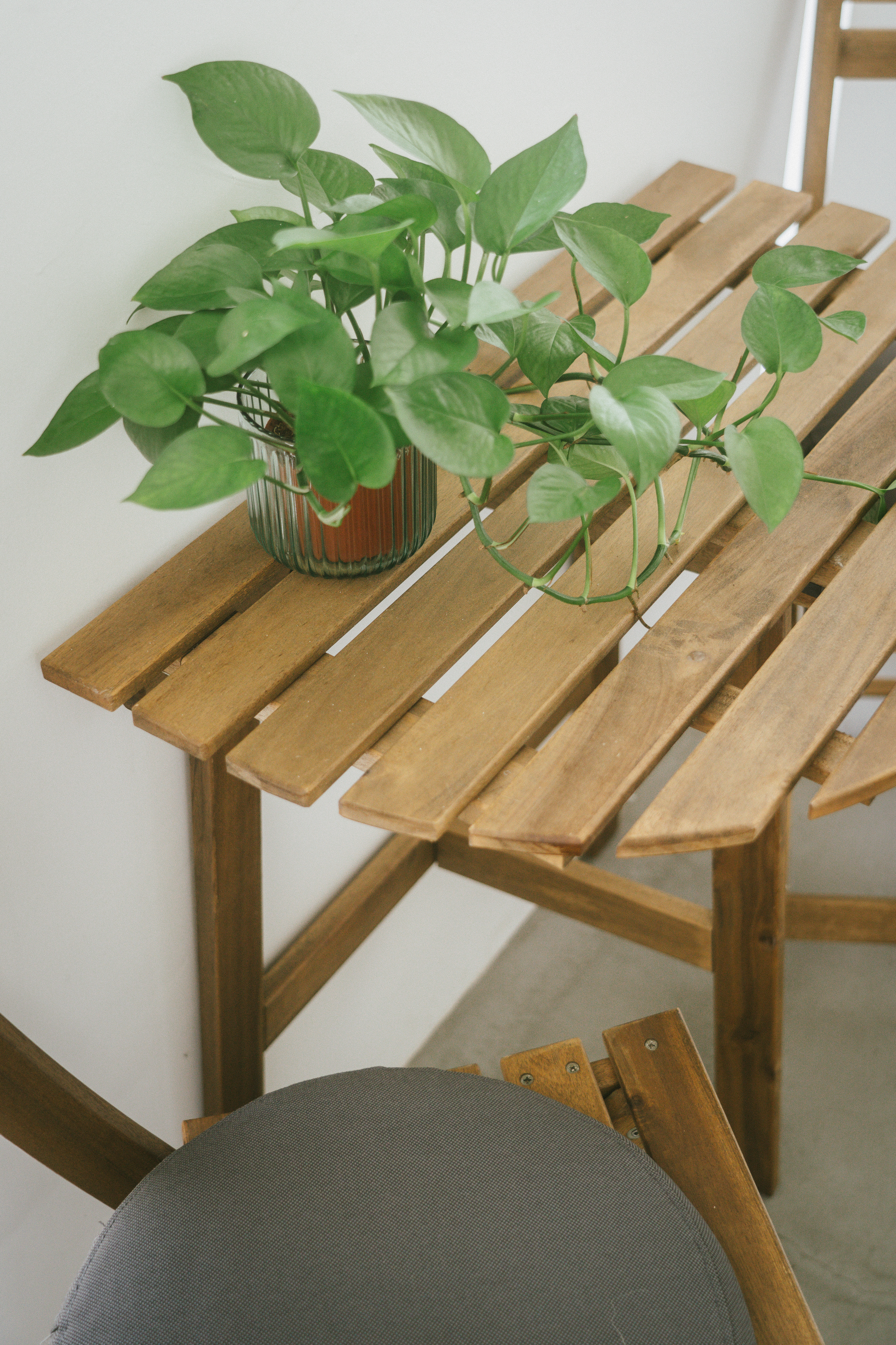 Green is the new black 🪴| Indoor plant tour | HDB Corridor "Balcony" - Green potted plant on wooden table, rustic wooden