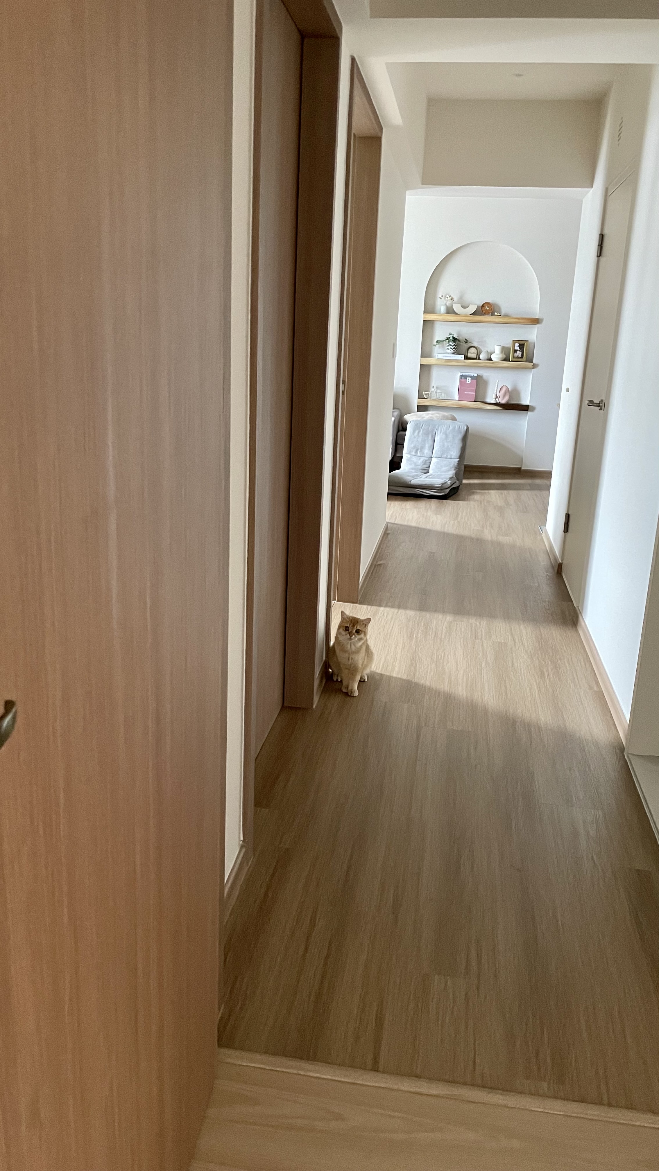 Our top floor, corner unit 4-rm BTO  - Wooden hallway, light brown flooring, cozy room, cat sitting, small room, wooden door