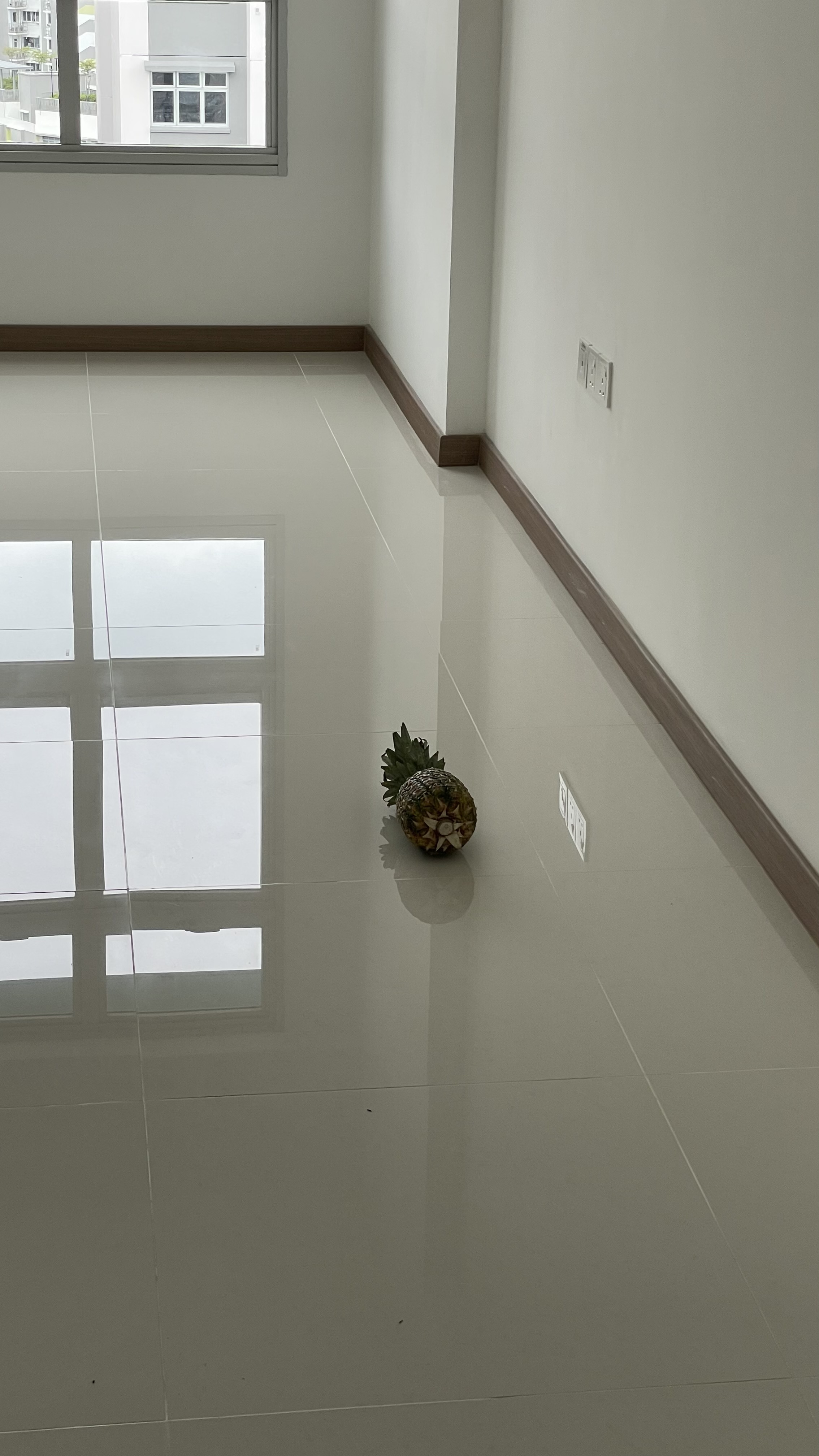 Our top floor, corner unit 4-rm BTO  - Floor, tiled, room, bright, white walls, large windows, pineapple, indoor, minimalist