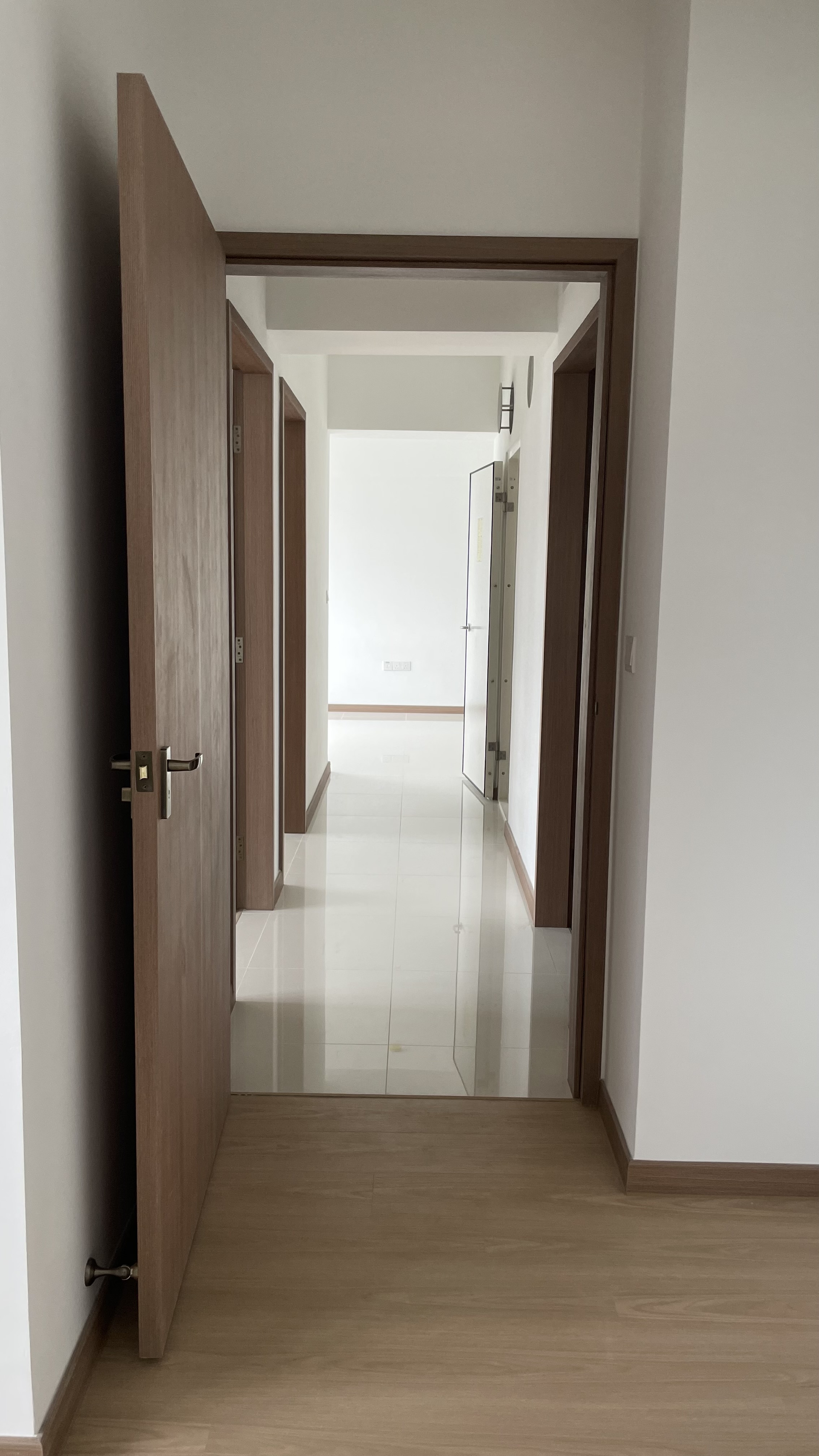 Our top floor, corner unit 4-rm BTO  - Wooden doors, hallway, modern design, minimalist style, clean lines, light-colored