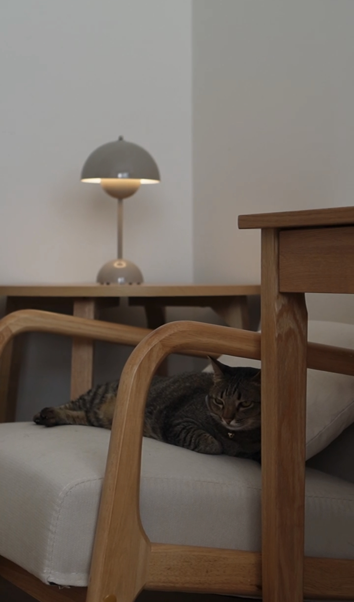 Mindful Home Styling Tips for Minimalist Home - Wooden chair, cat, gray tabby, resting, soft cushion, wooden frame, modern