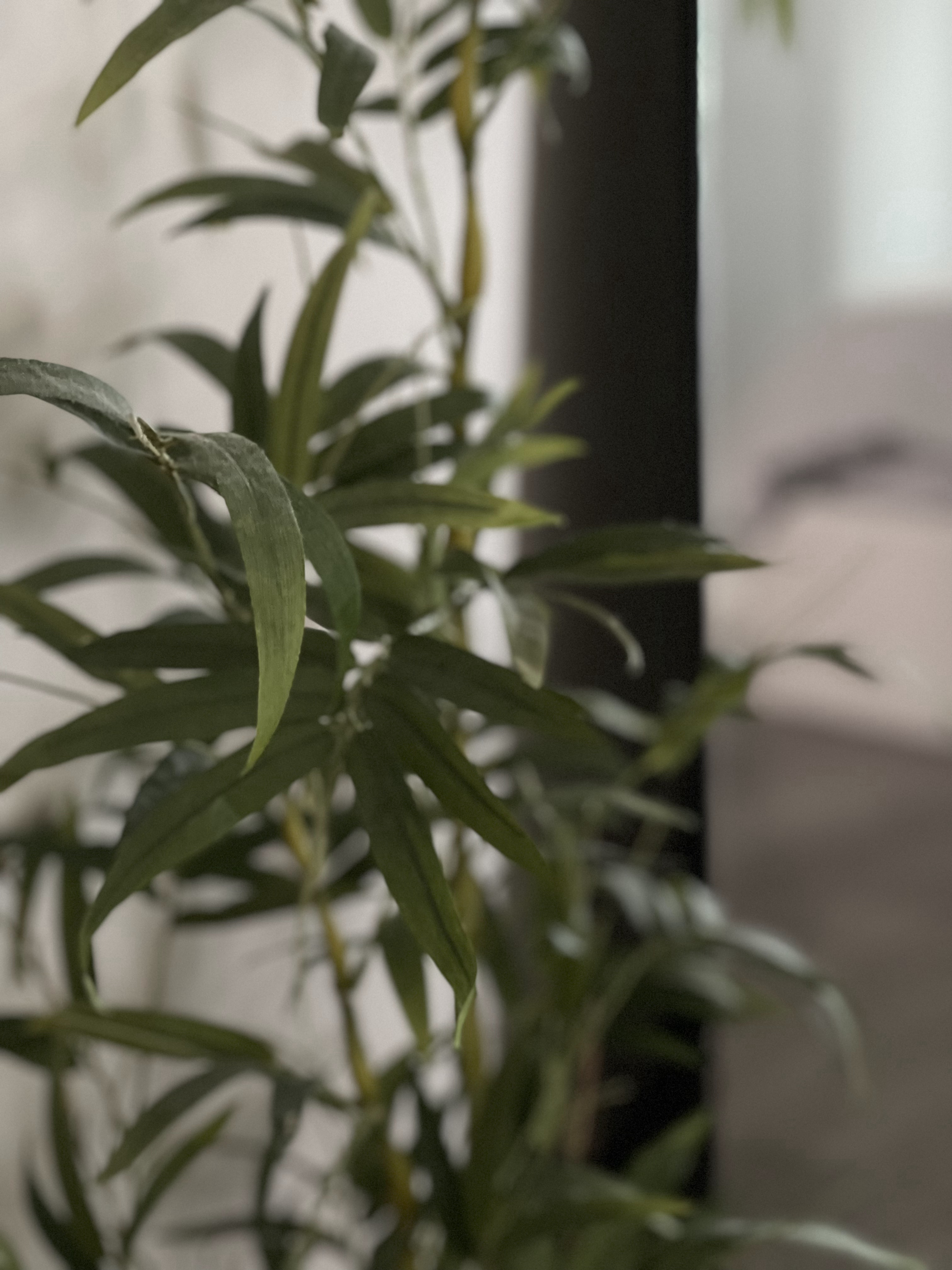 Styling with Faux Plants (& 1 Real Plant)