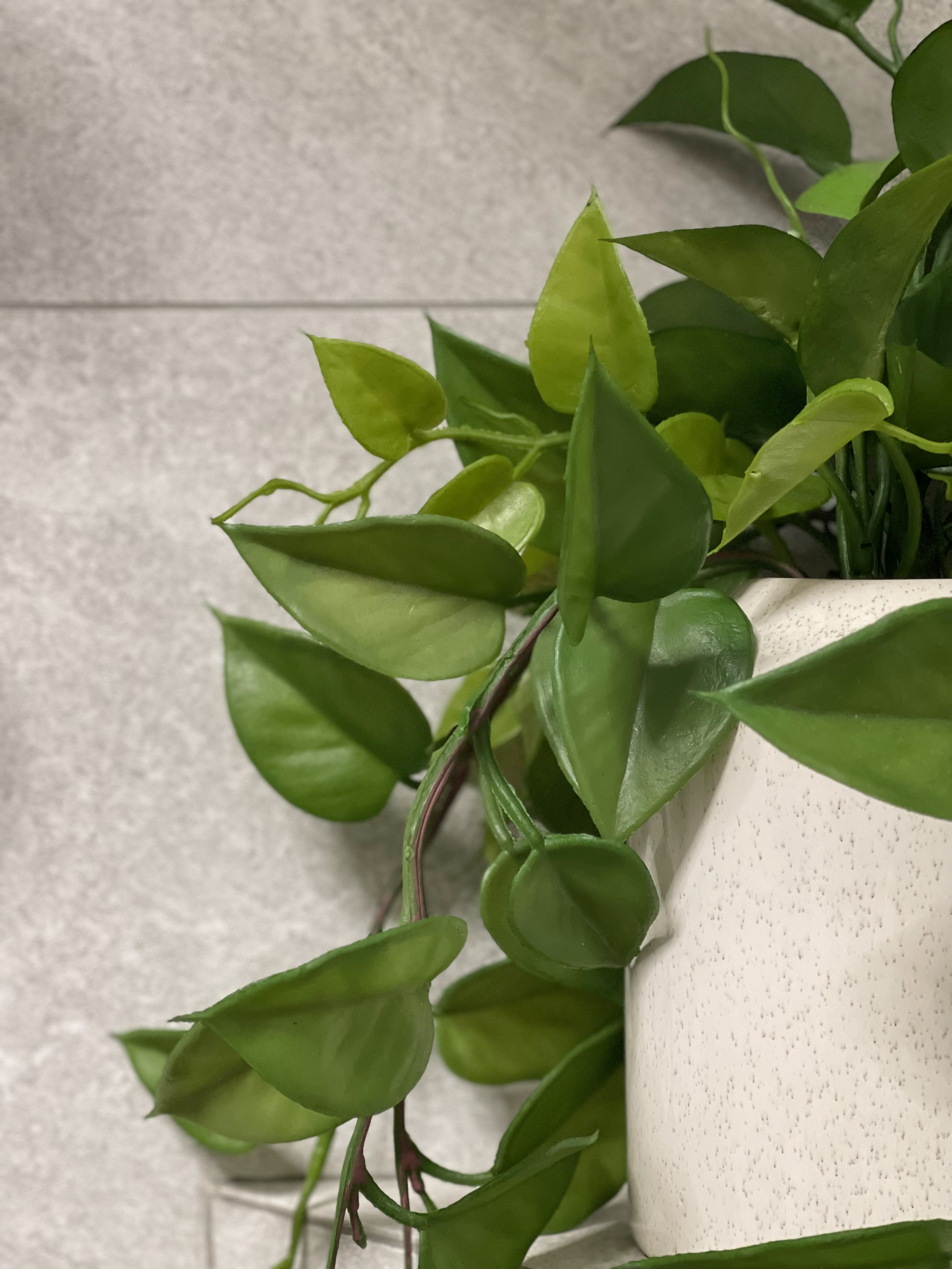 Styling with Faux Plants (& 1 Real Plant)