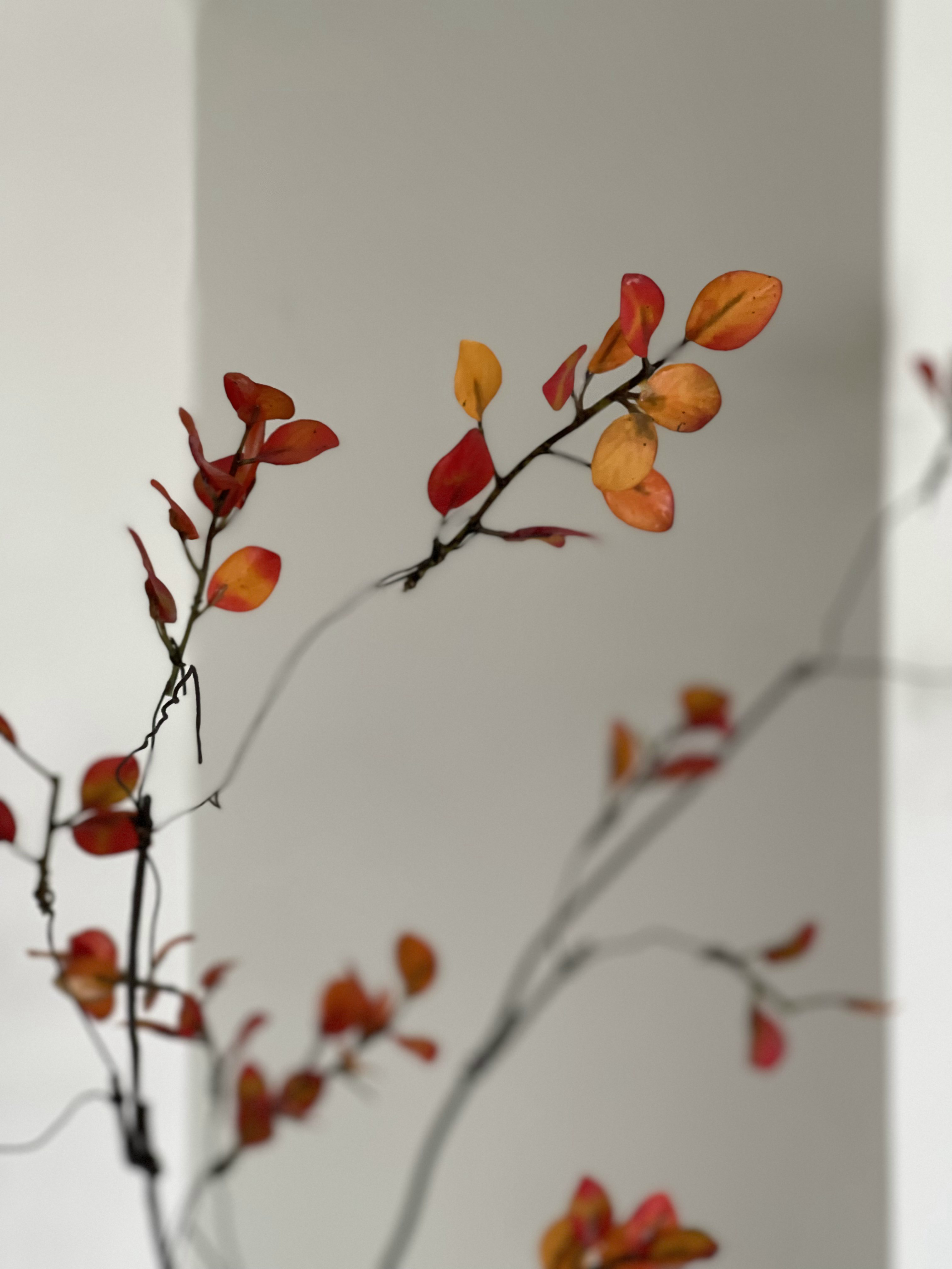 Styling with Faux Plants (& 1 Real Plant)