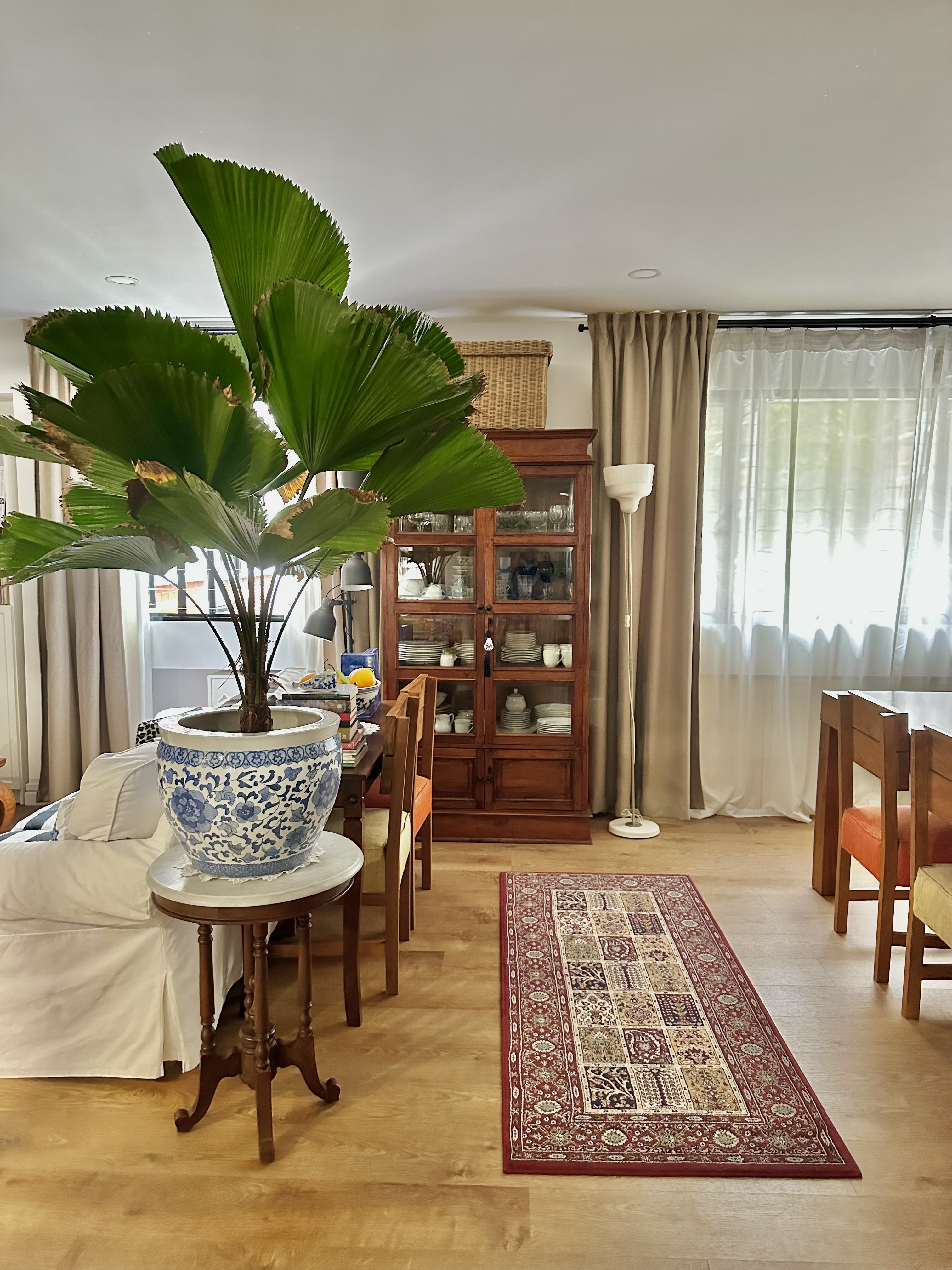 The Magic of Our Home from Day to Night - Large green potted plant, wooden dining table, beige curtains, white sofa, blue and