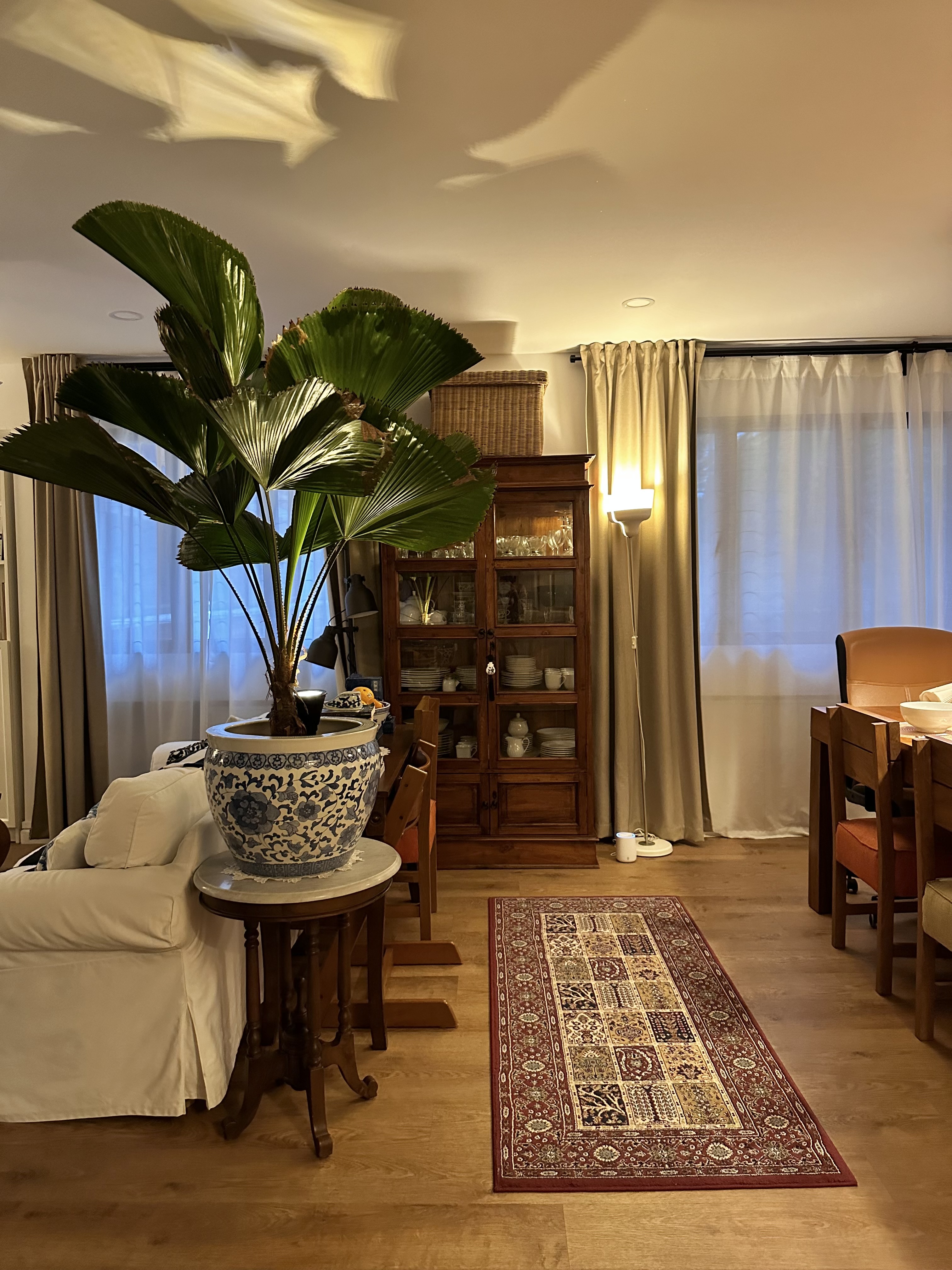 The Magic of Our Home from Day to Night - Large green potted plant, beige curtains, wooden dining table, white sofa, blue and